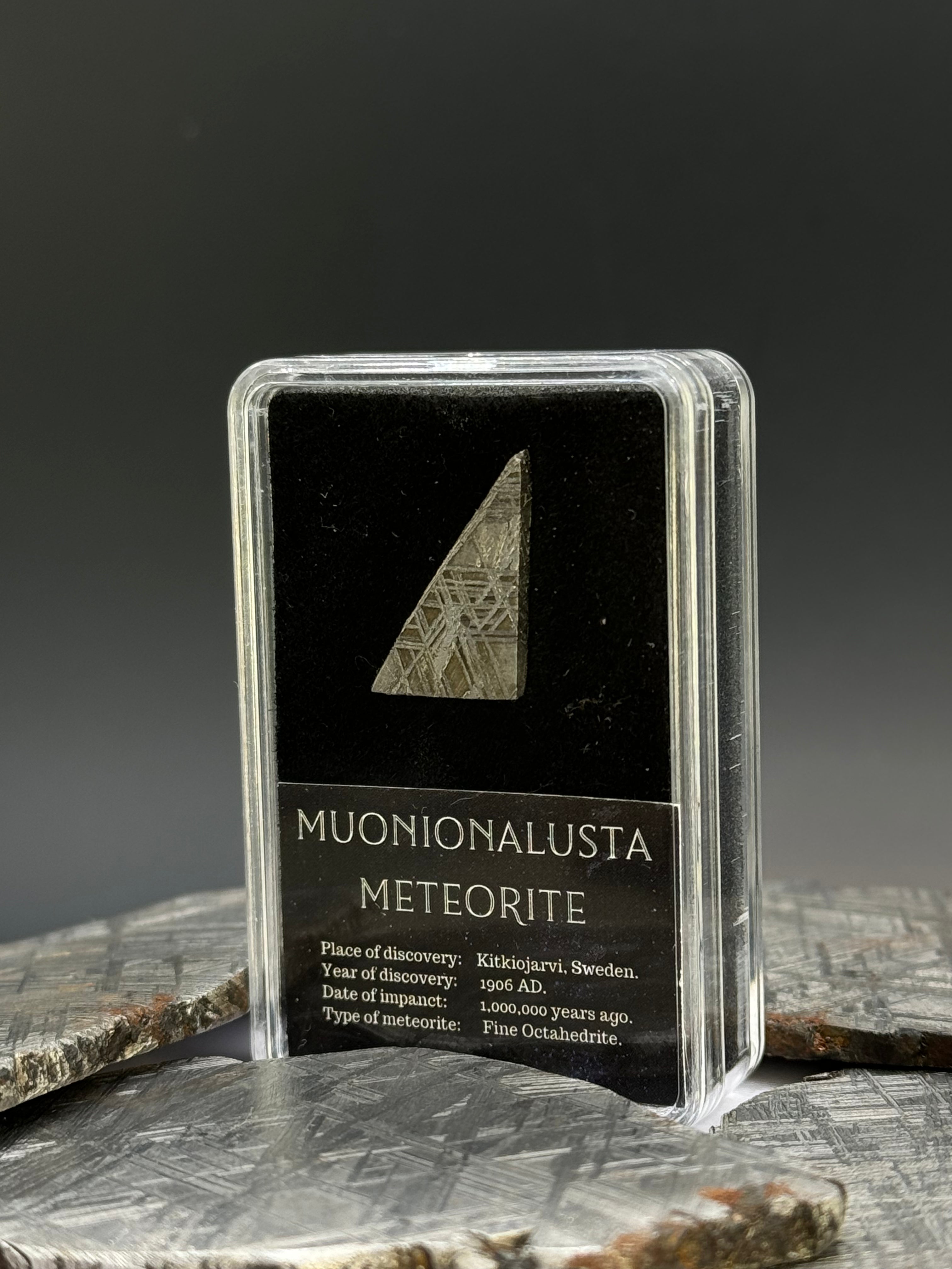 Muonionalusta meteorite, Sweden. 3 grams in Display box.