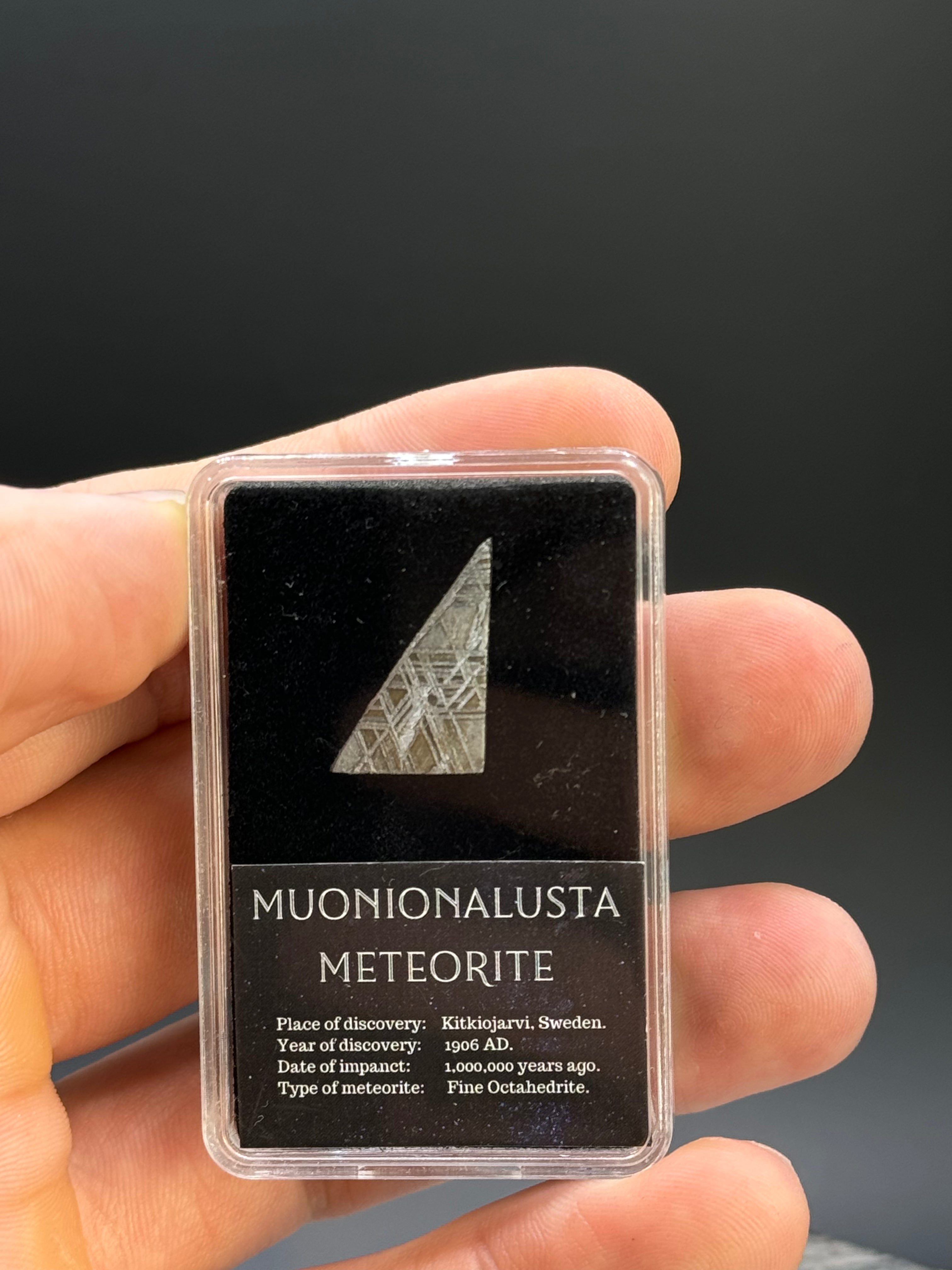 Muonionalusta meteorite, Sweden. 3 grams in Display box.