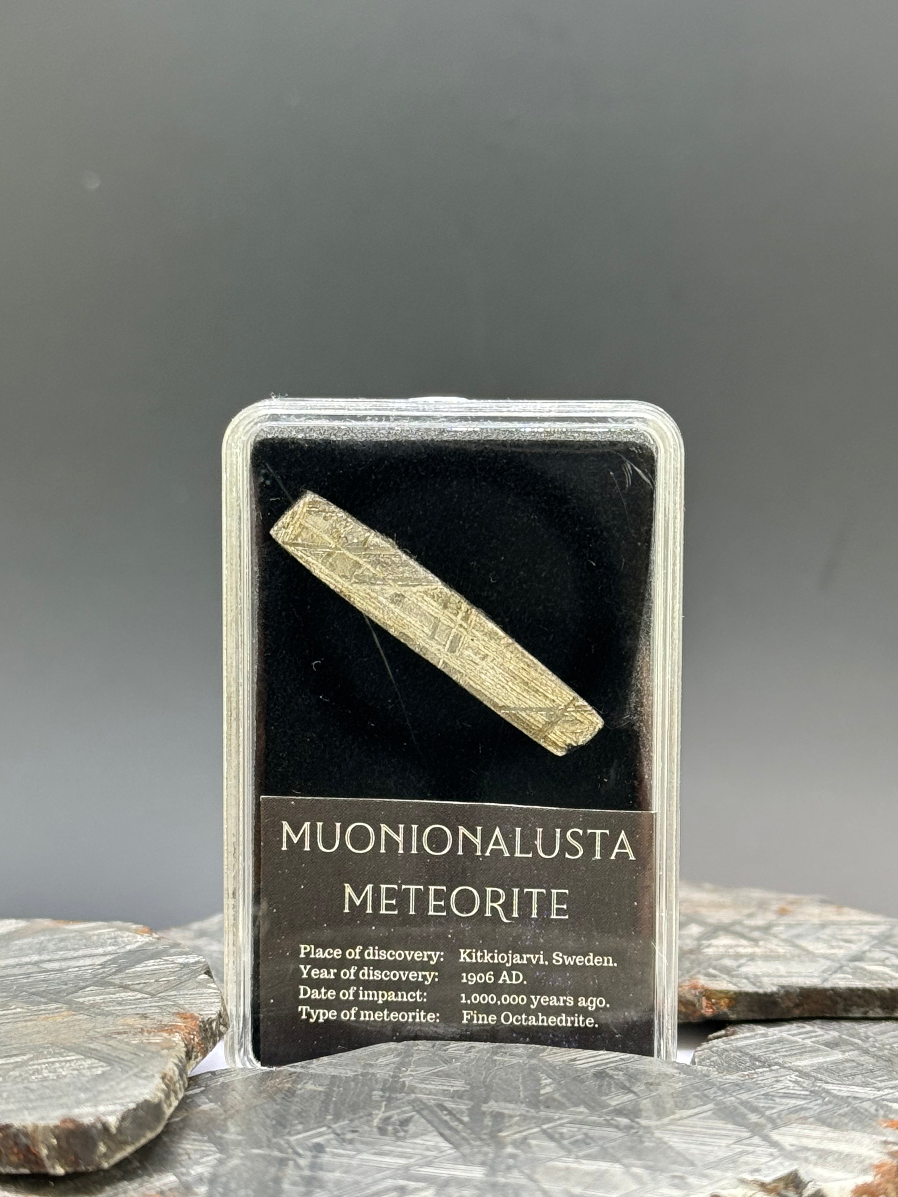 Muonionalusta Meteorite, Sweden. 5 grams in display box.