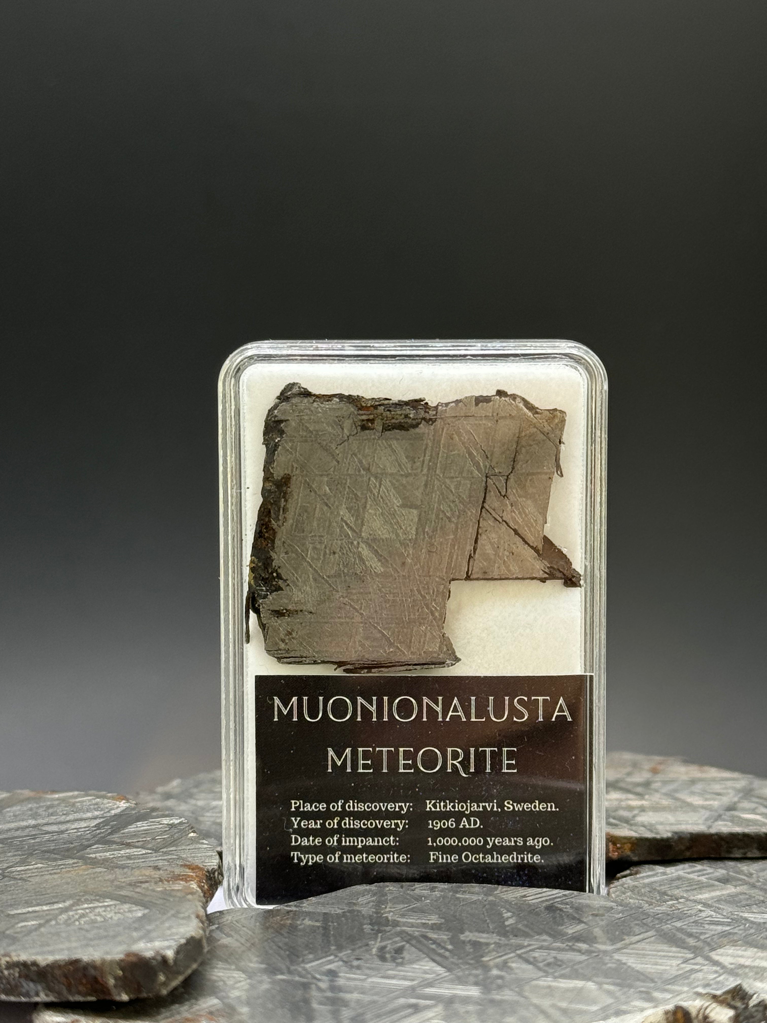 Muonionalusta meteorite, Sweden. 11,75 grams in Display box