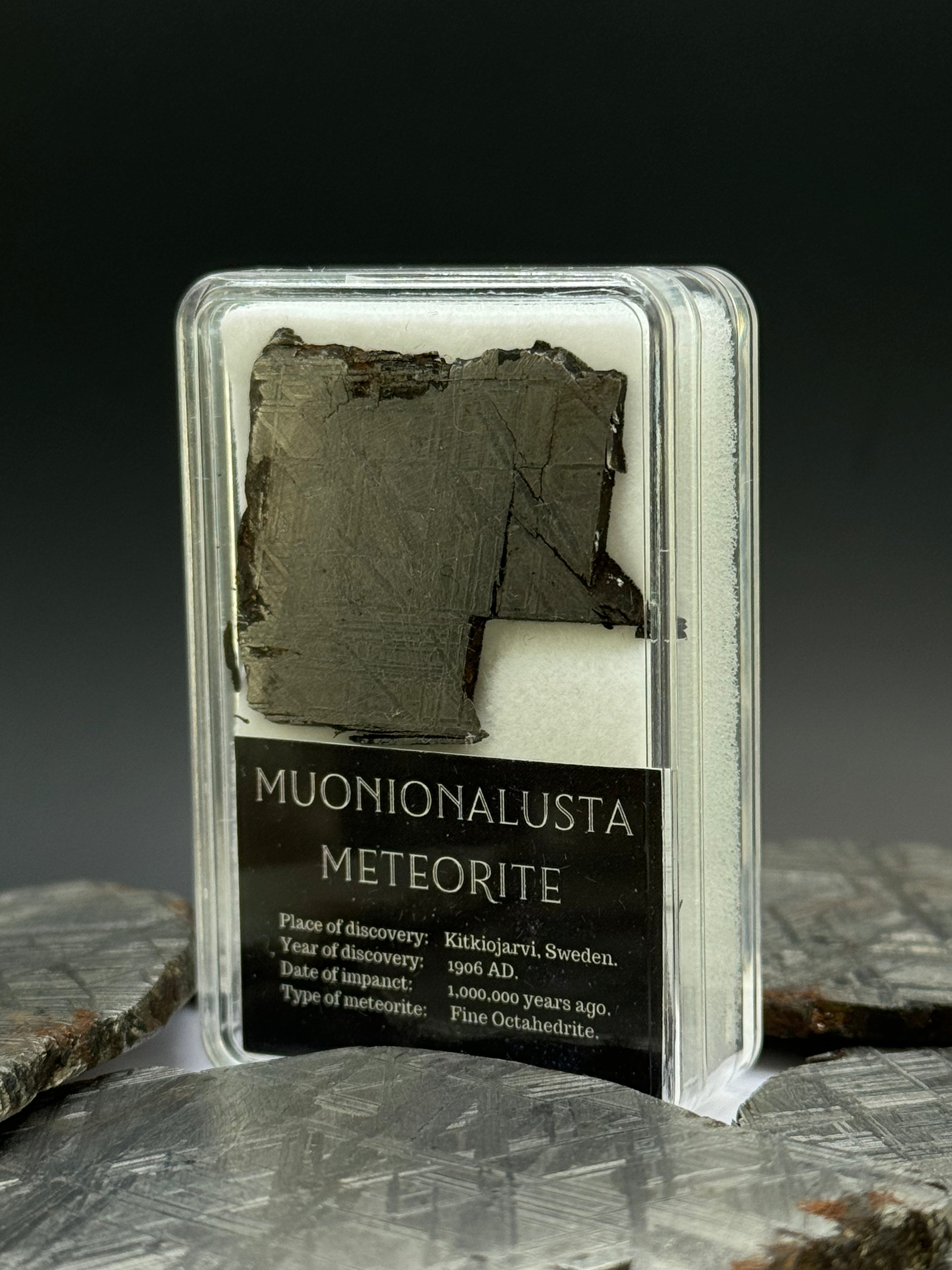 Muonionalusta meteorite, Sweden. 11,75 grams in Display box