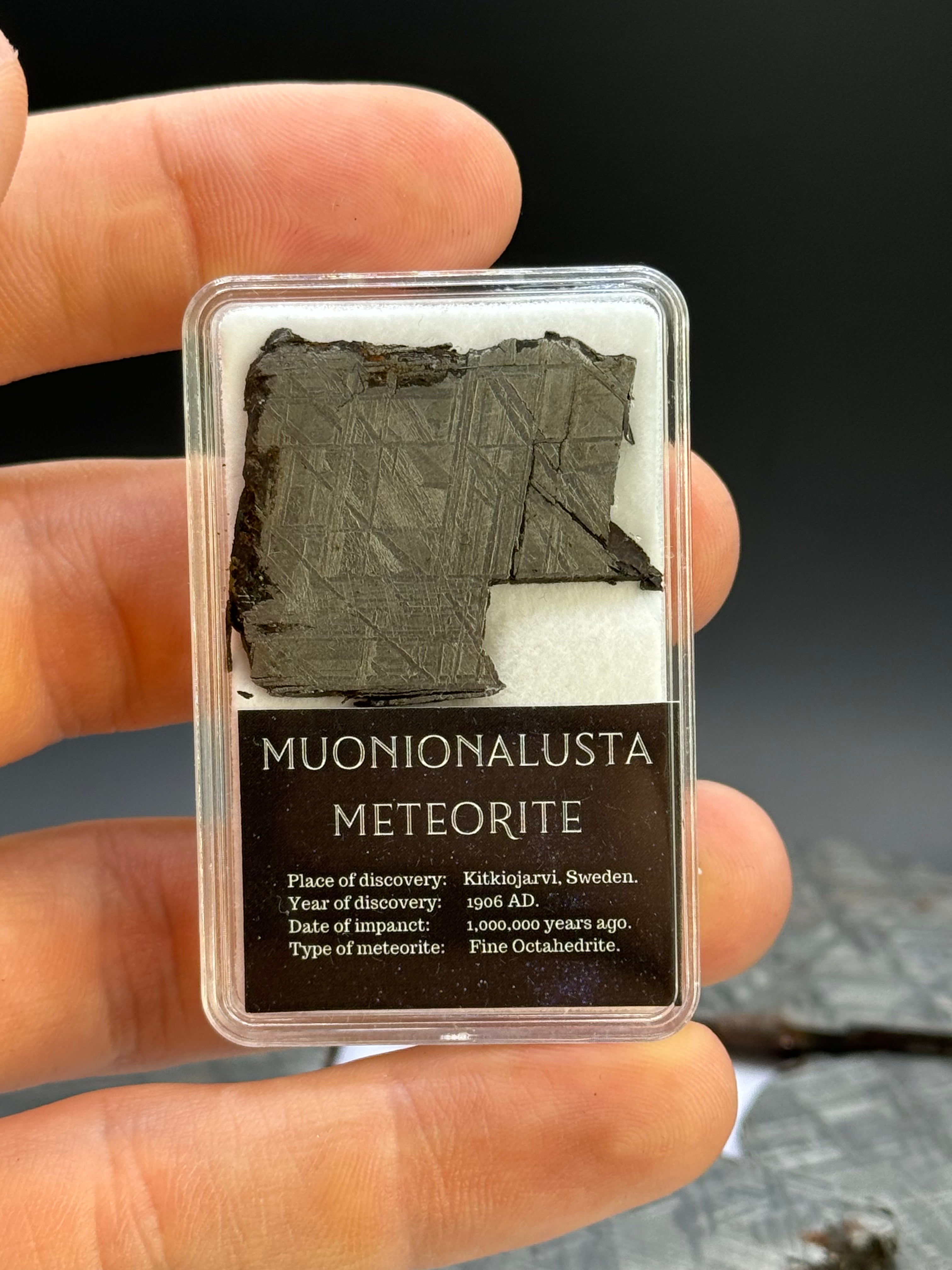 Muonionalusta meteorite, Sweden. 11,75 grams in Display box