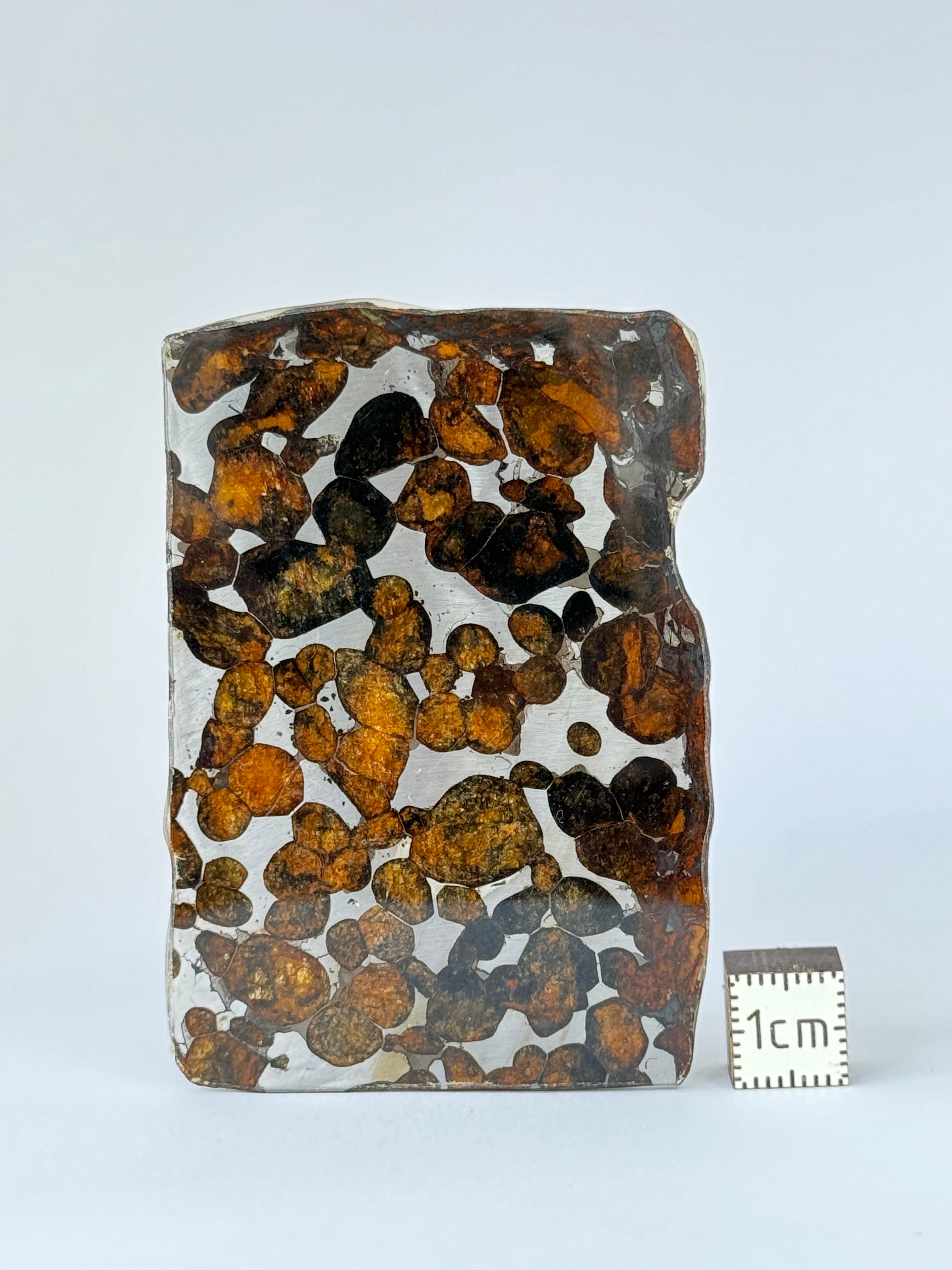 Sericho Meteorite, Kenya. 19,98 grams.