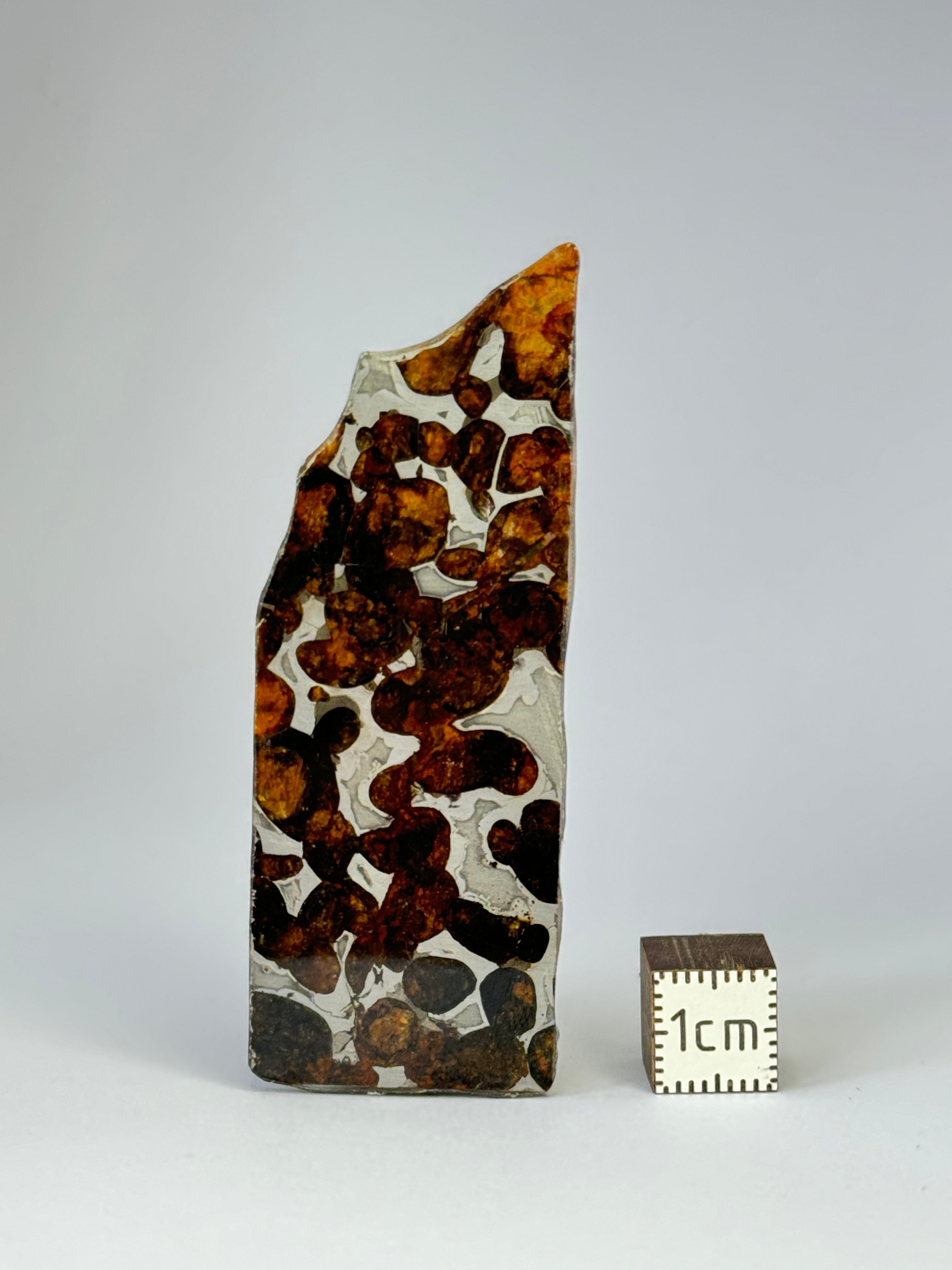 Sericho Meteorite, Kenya. 9,82 grams.