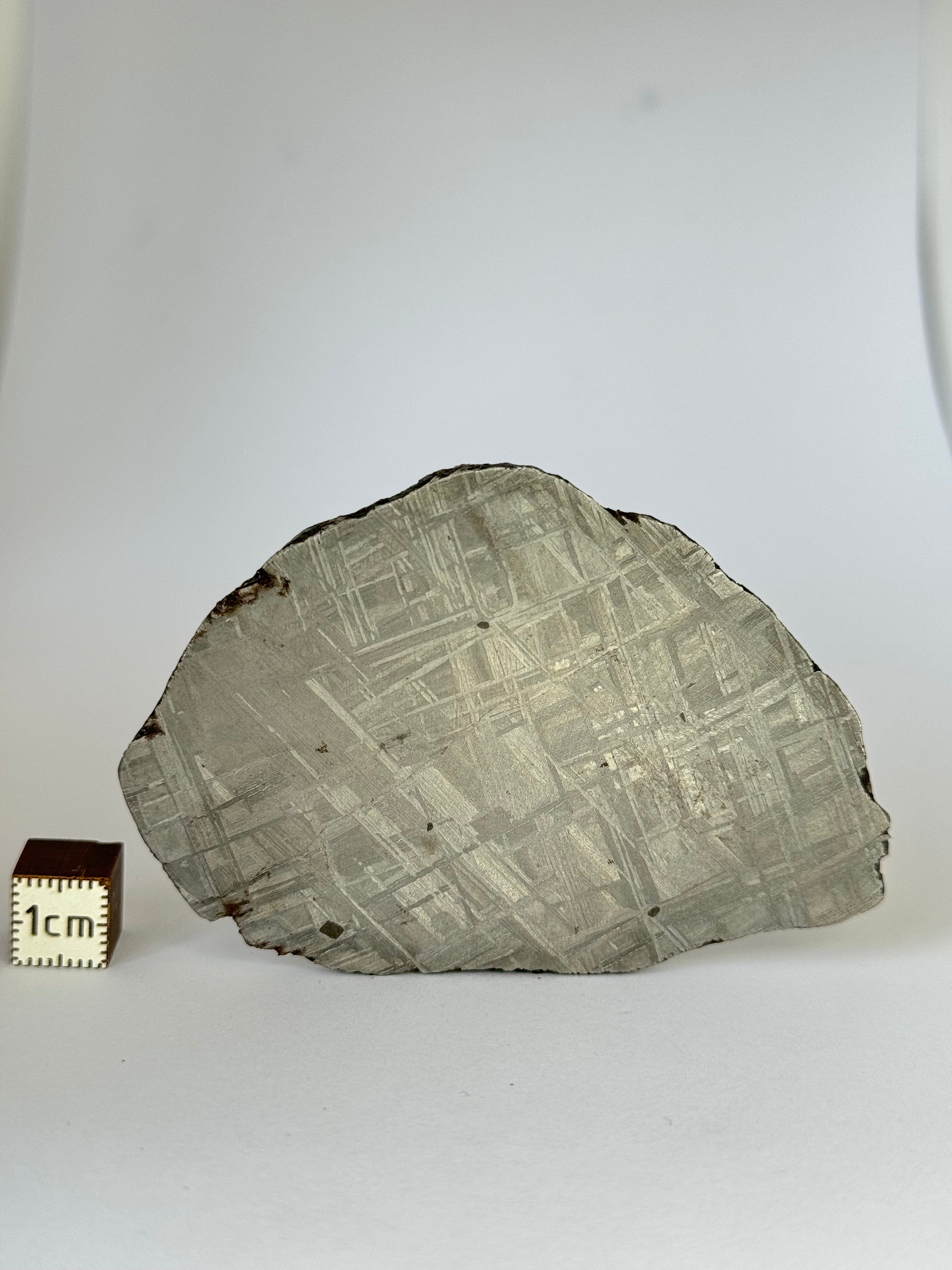 Muonionalusta meteorite, Sweden.  69,77 grams.