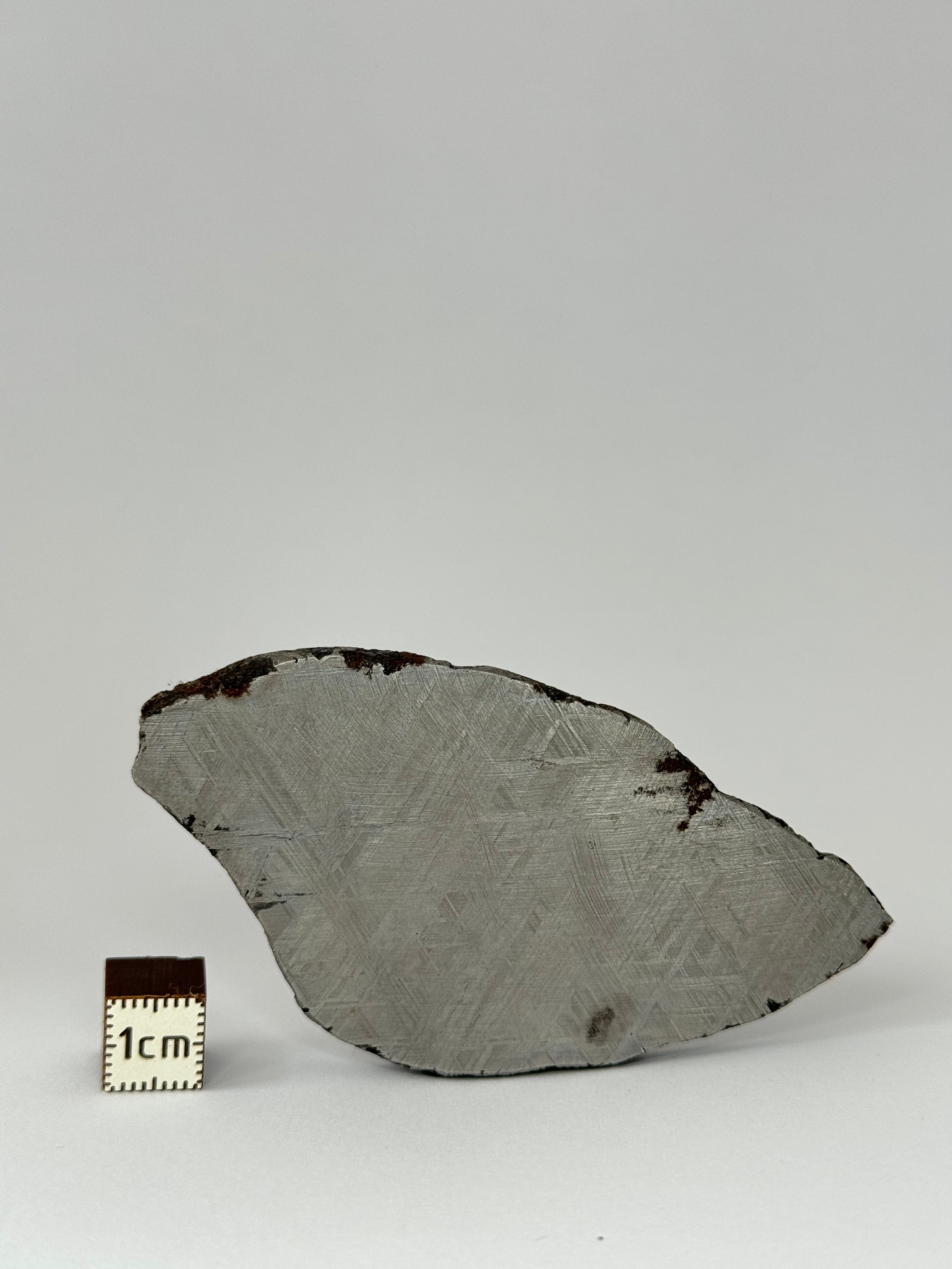 Muonionalusta meteorite, Sweden. 69,83 grams slice.