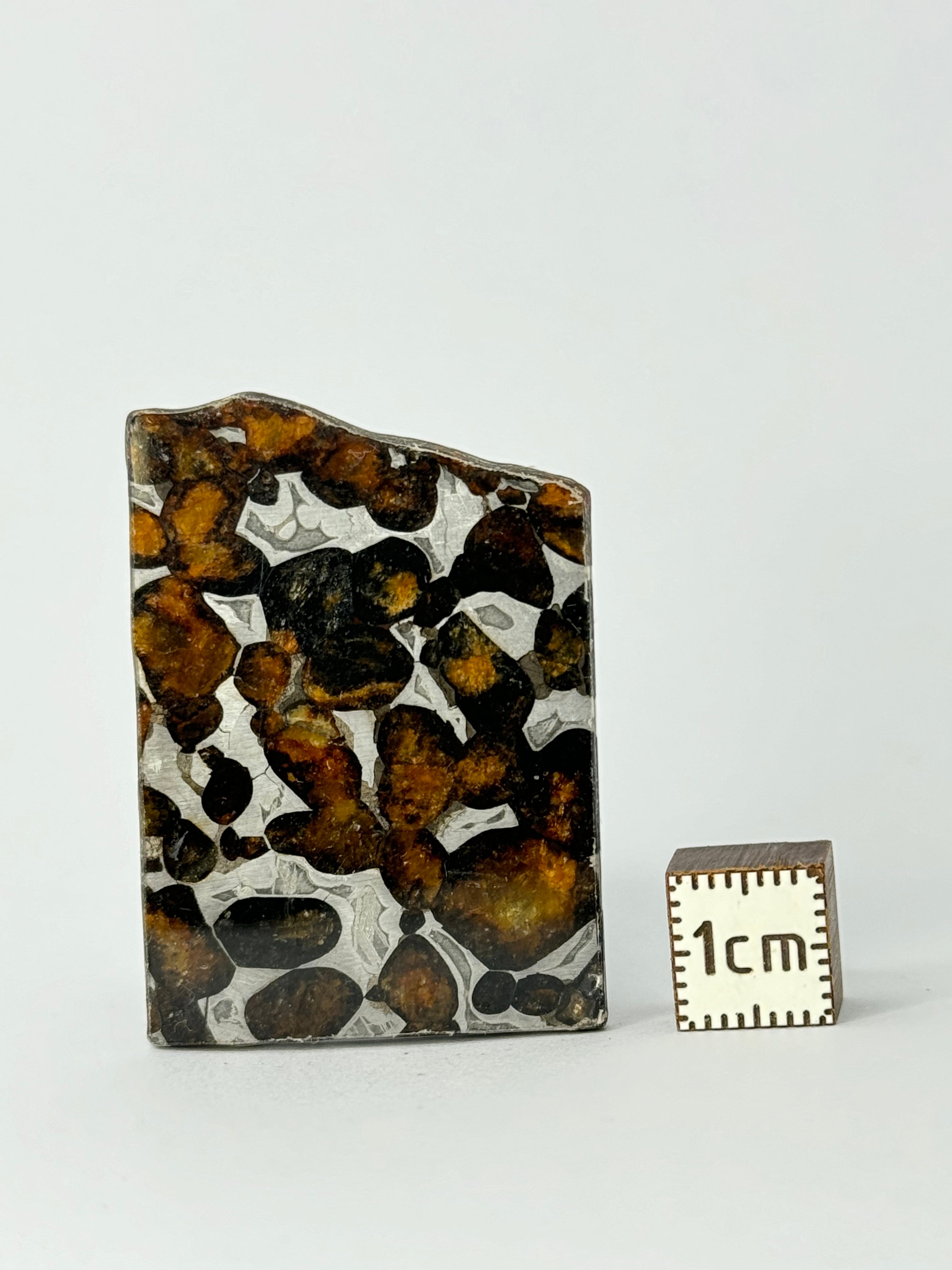 Sericho Meteorite, Kenya. 10,81 grams.