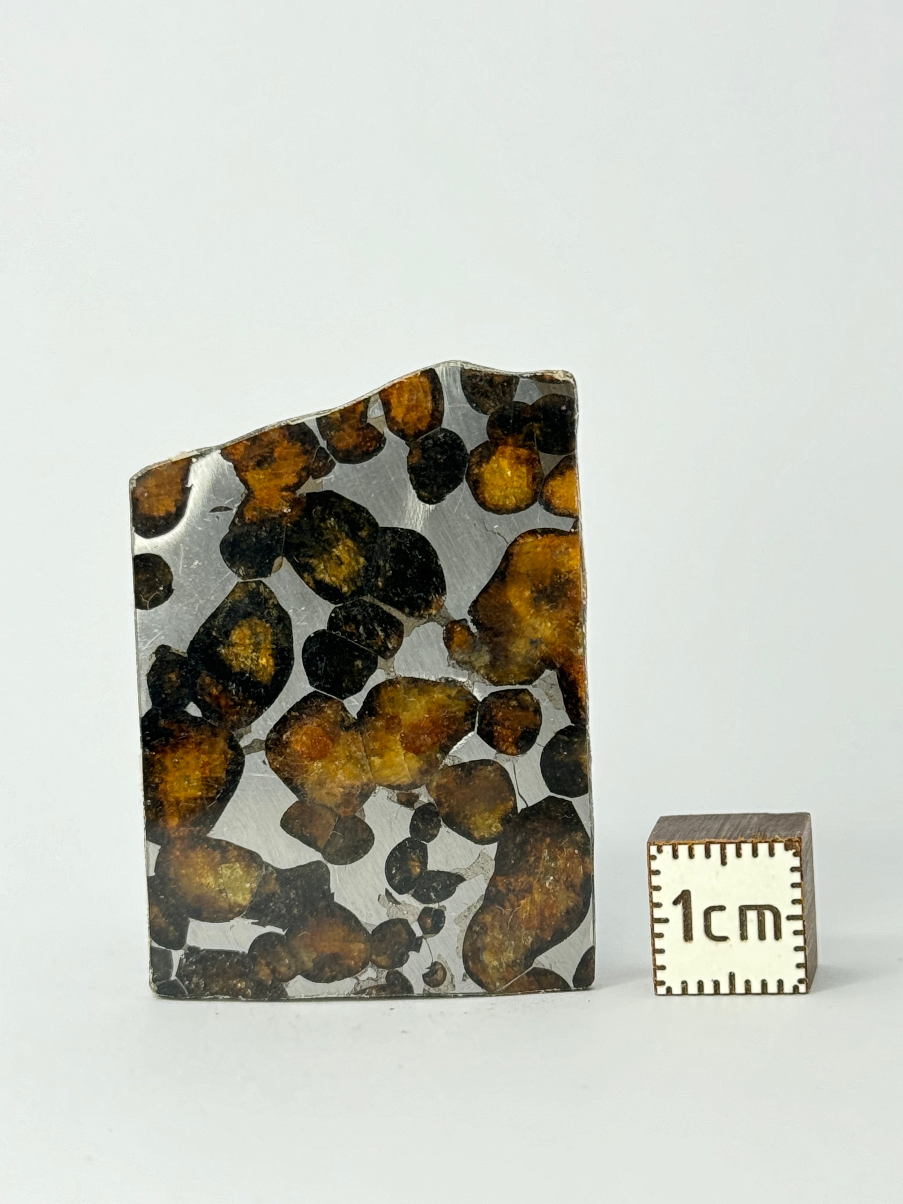 Sericho Meteorite, Kenya. 10,81 grams.