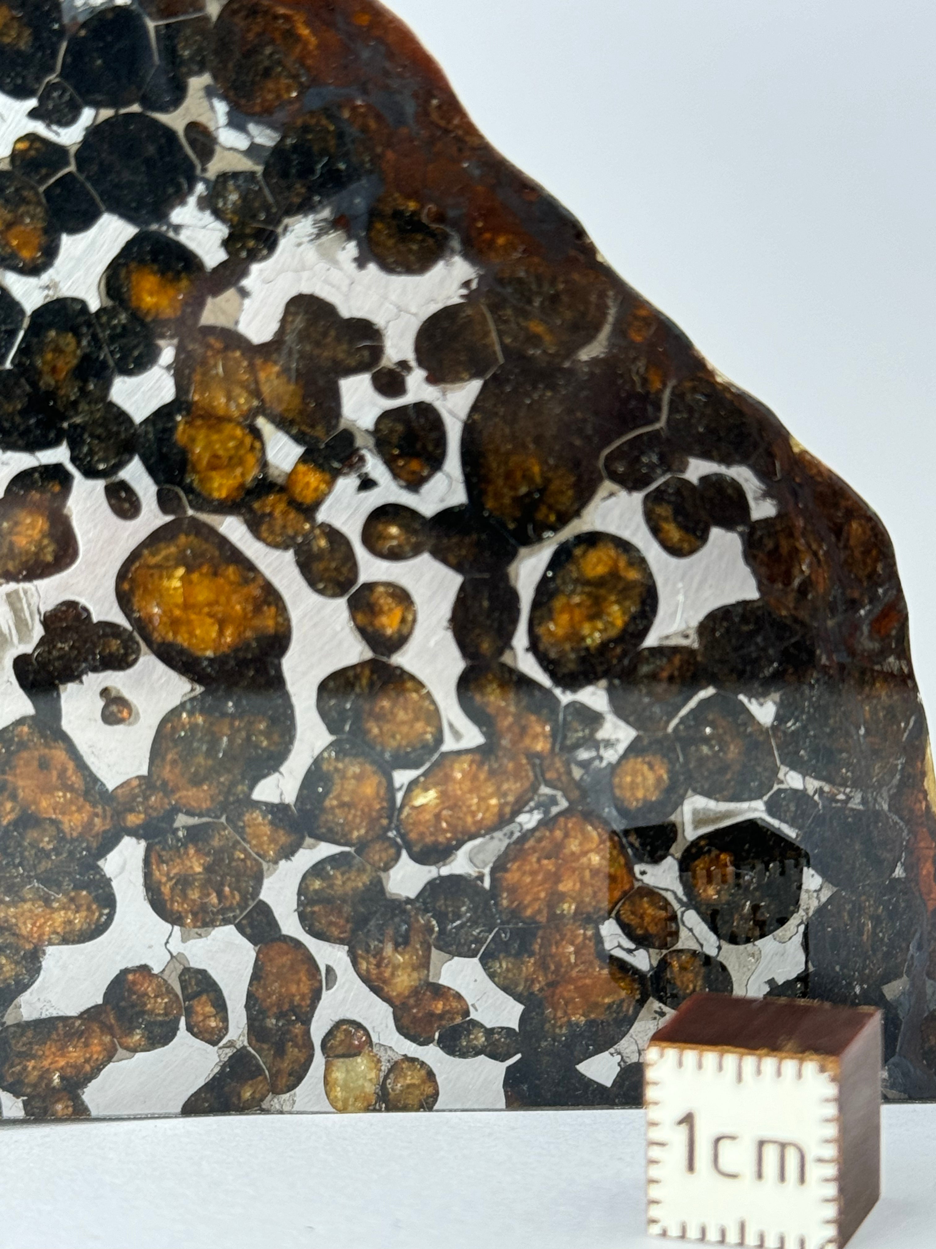 Sericho Meteorite, Kenya. 67,42 grams.