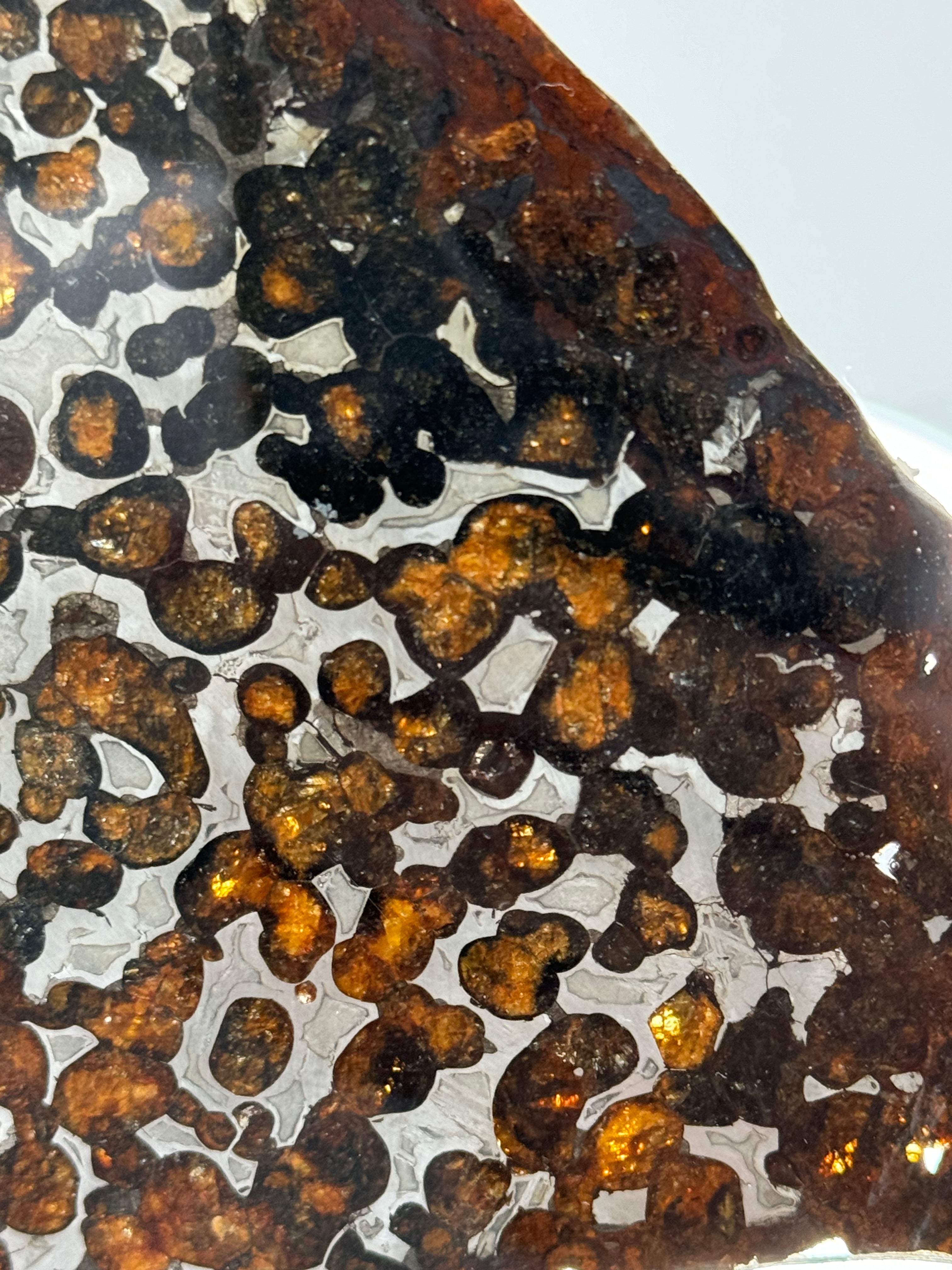 Sericho Meteorite, Kenya. 67,42 grams.