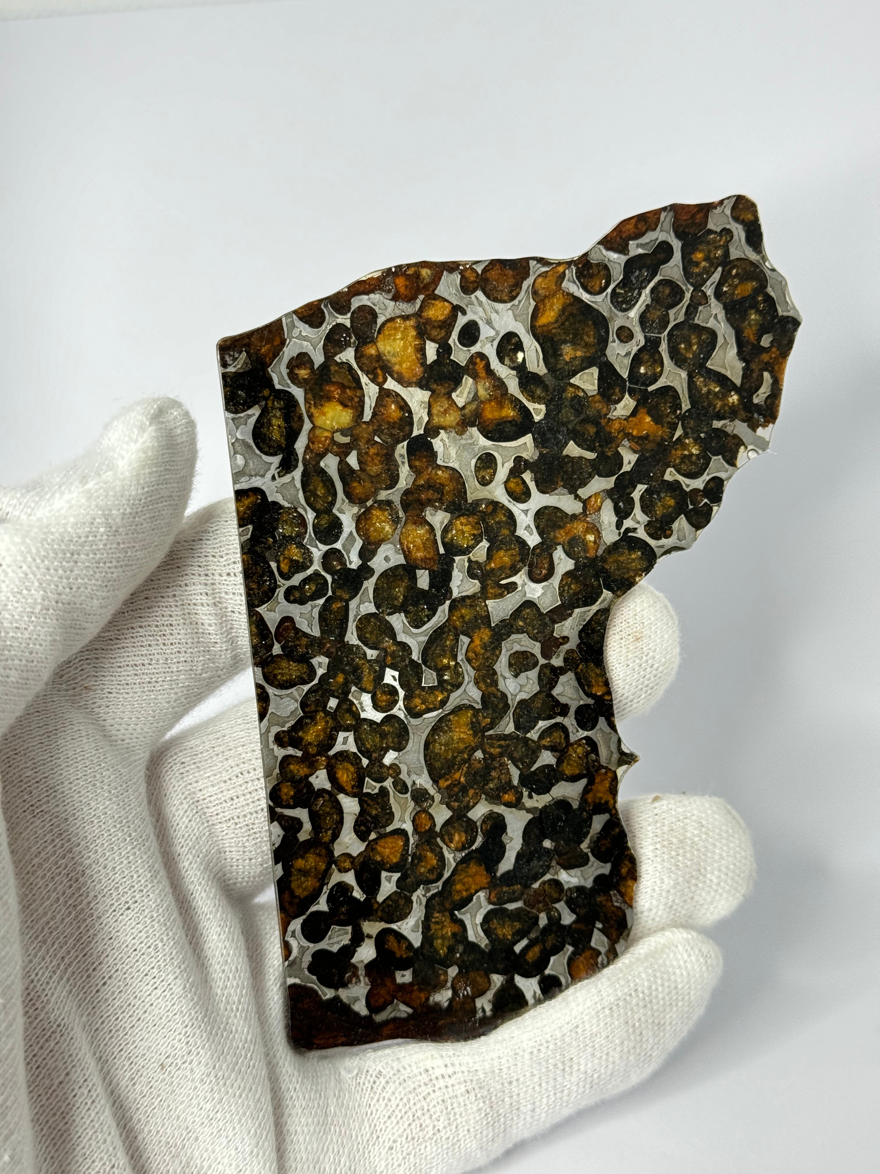 Sericho Meteorite, Kenya. 47,66 grams.