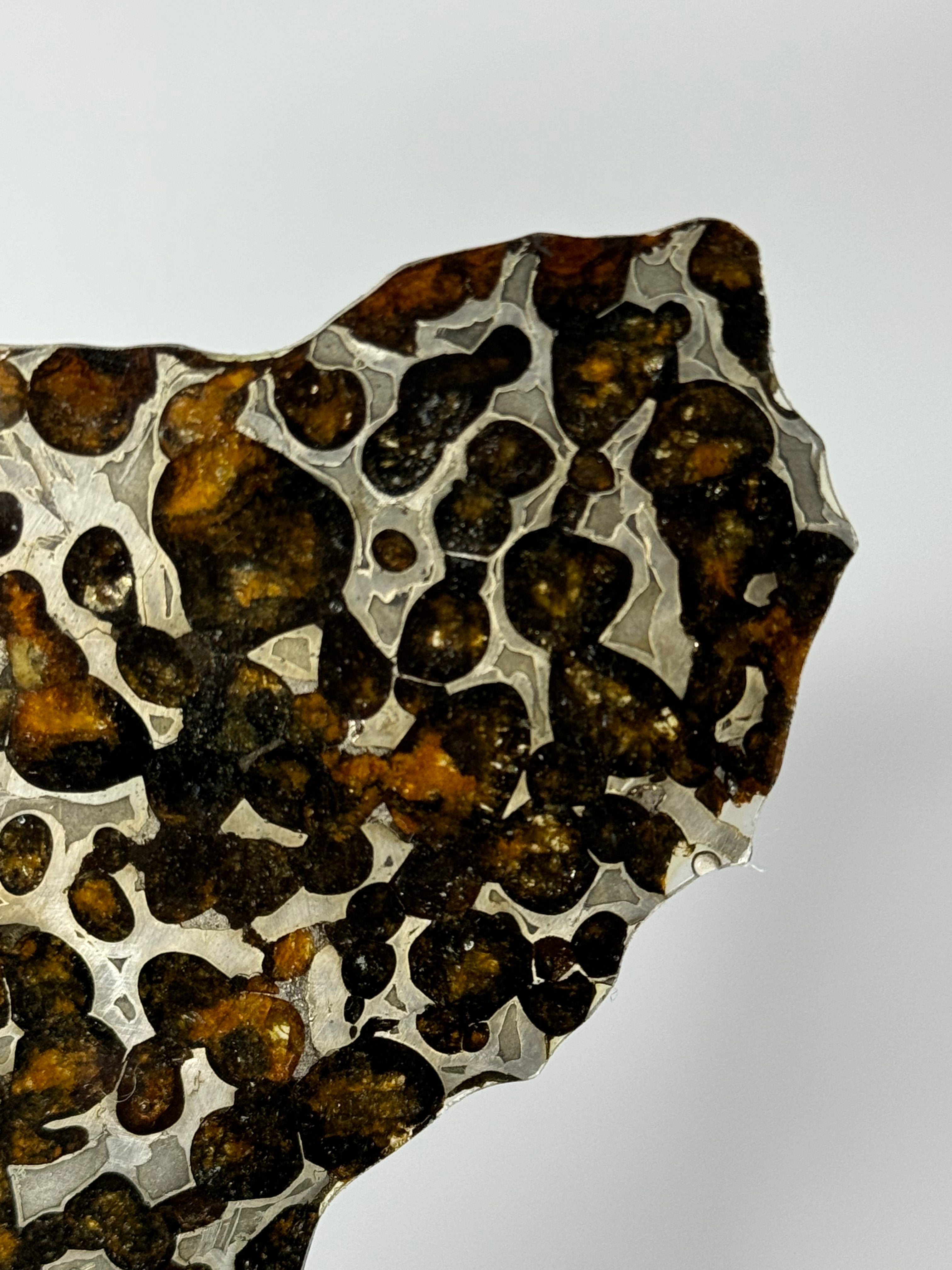 Sericho Meteorite, Kenya. 47,66 grams.