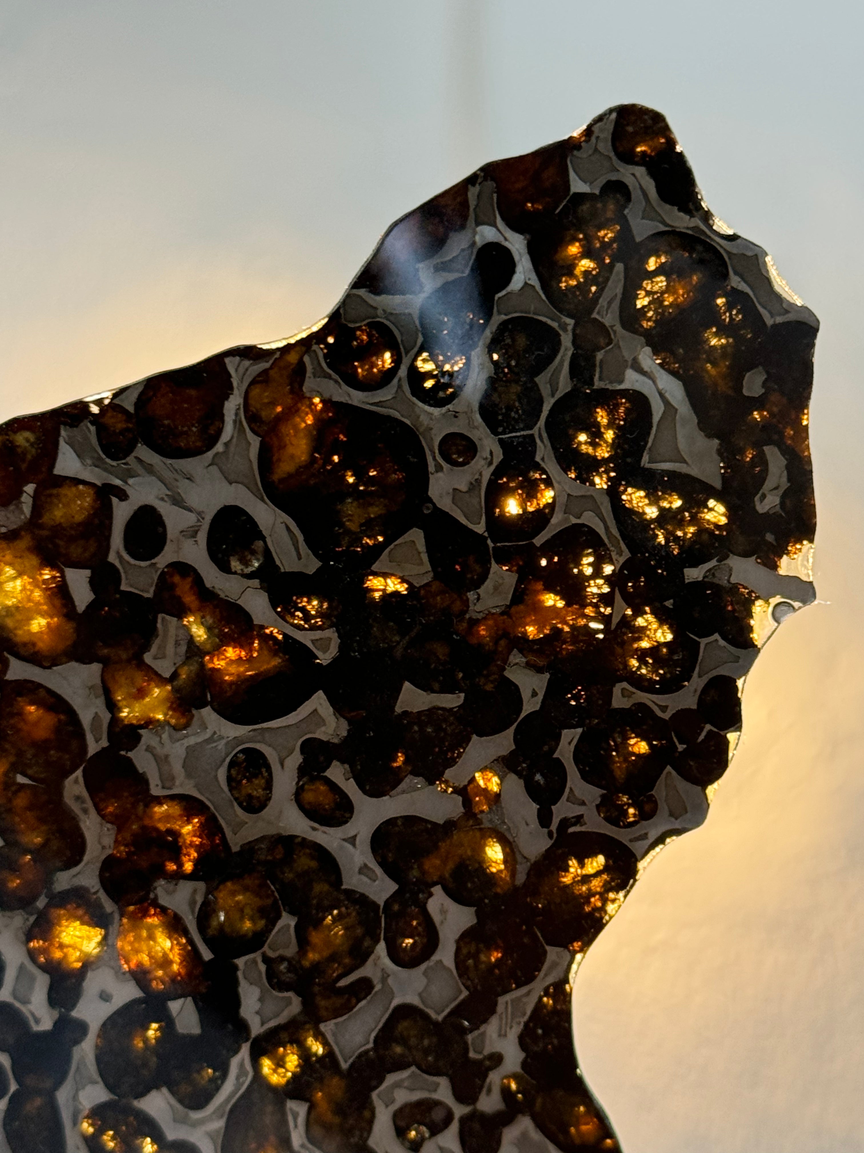 Sericho Meteorite, Kenya. 47,66 grams.