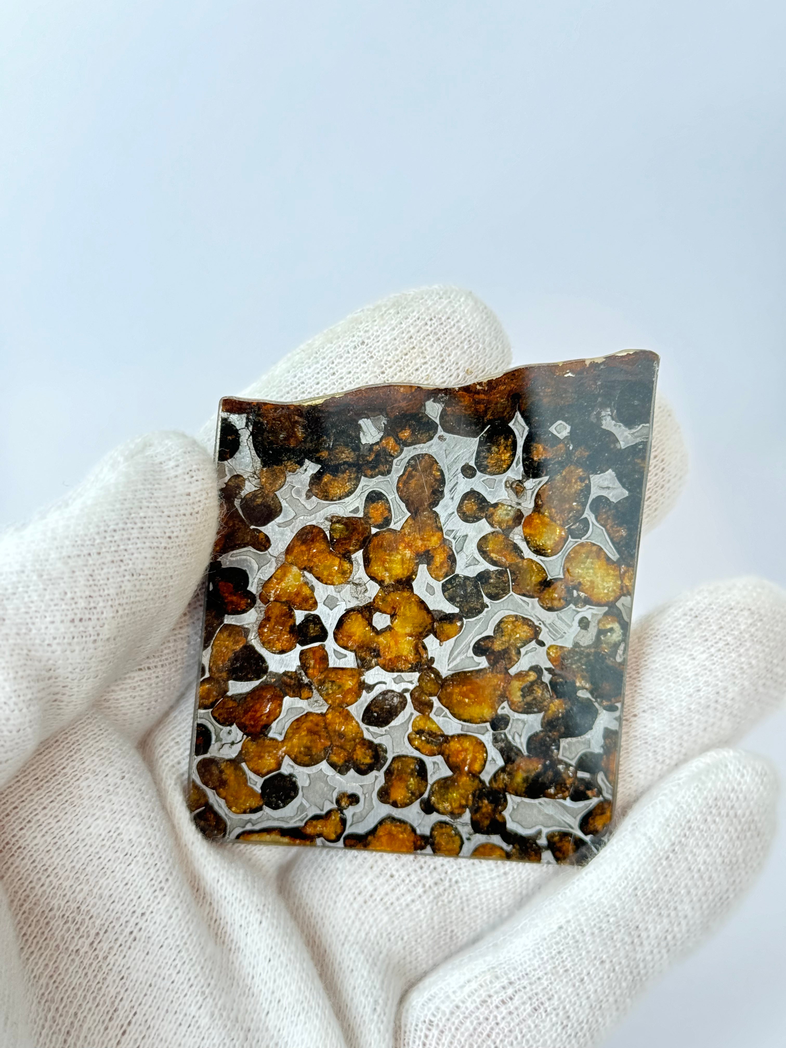 Sericho meteorite, Kenya. 31,87 grams.