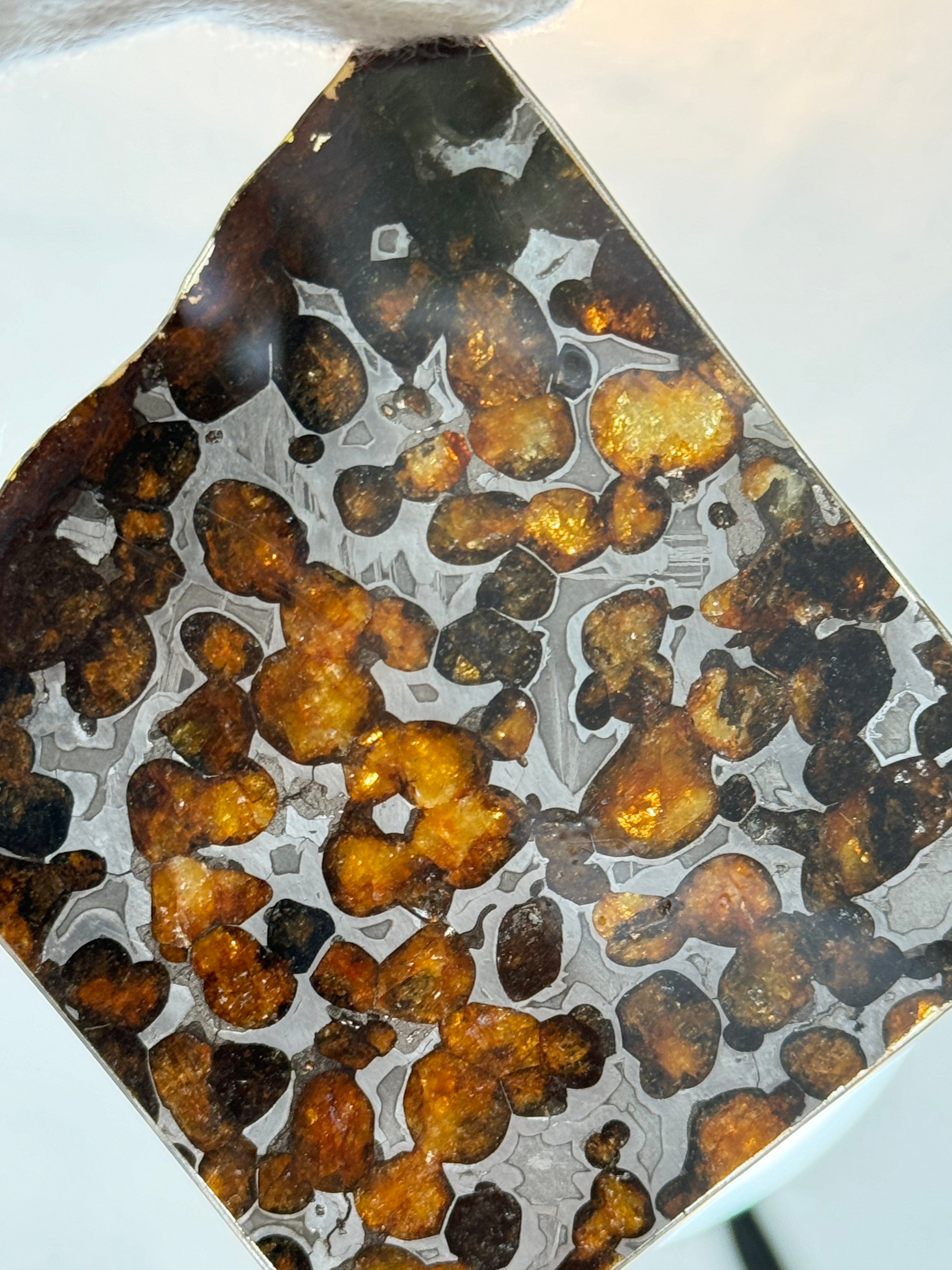 Sericho meteorite, Kenya. 31,87 grams.