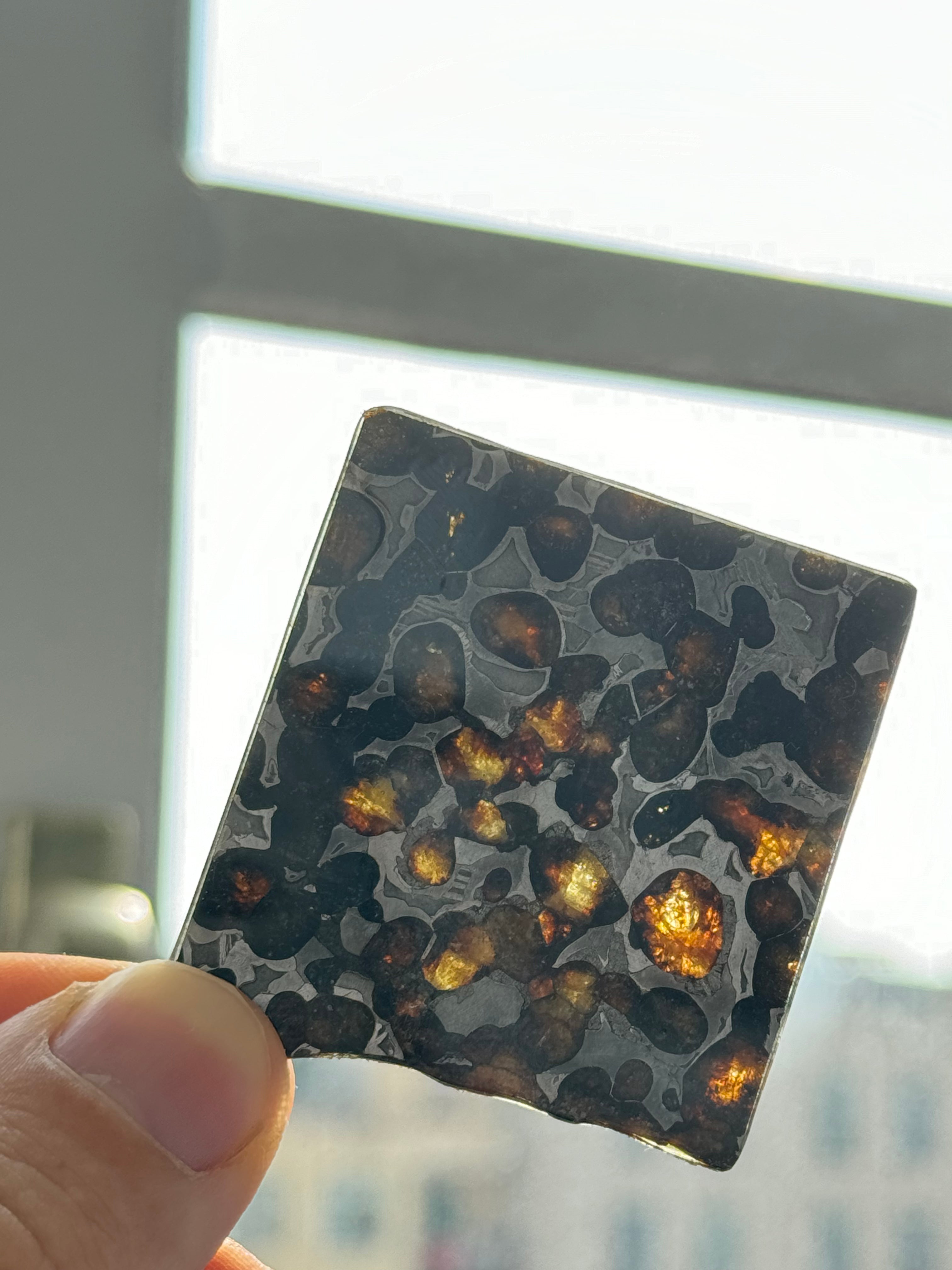 Sericho Meteorite, Kenya. 20,60 grams.