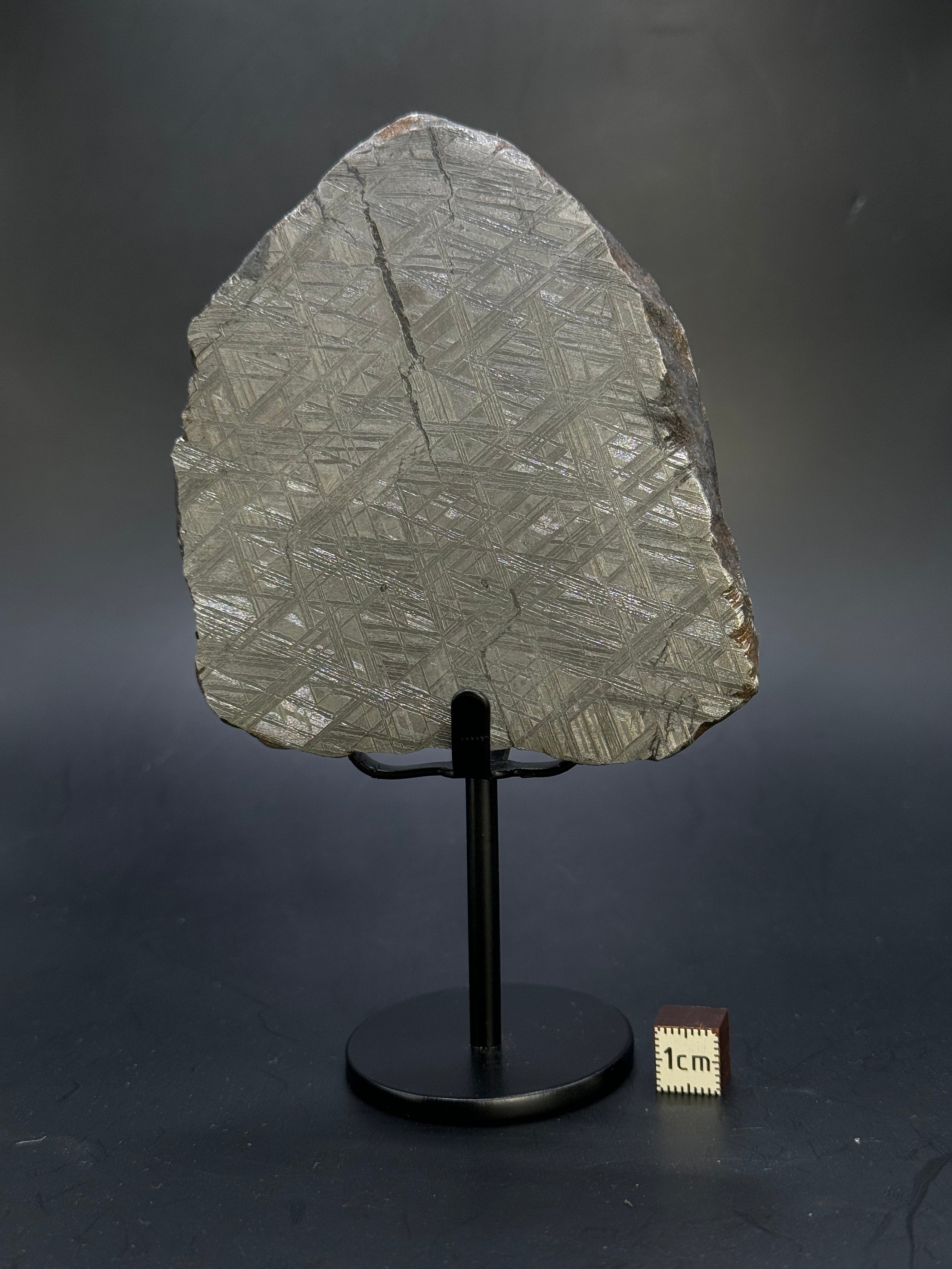 Muonionalusta meteorite, Sweden.  791 grams End-cut.