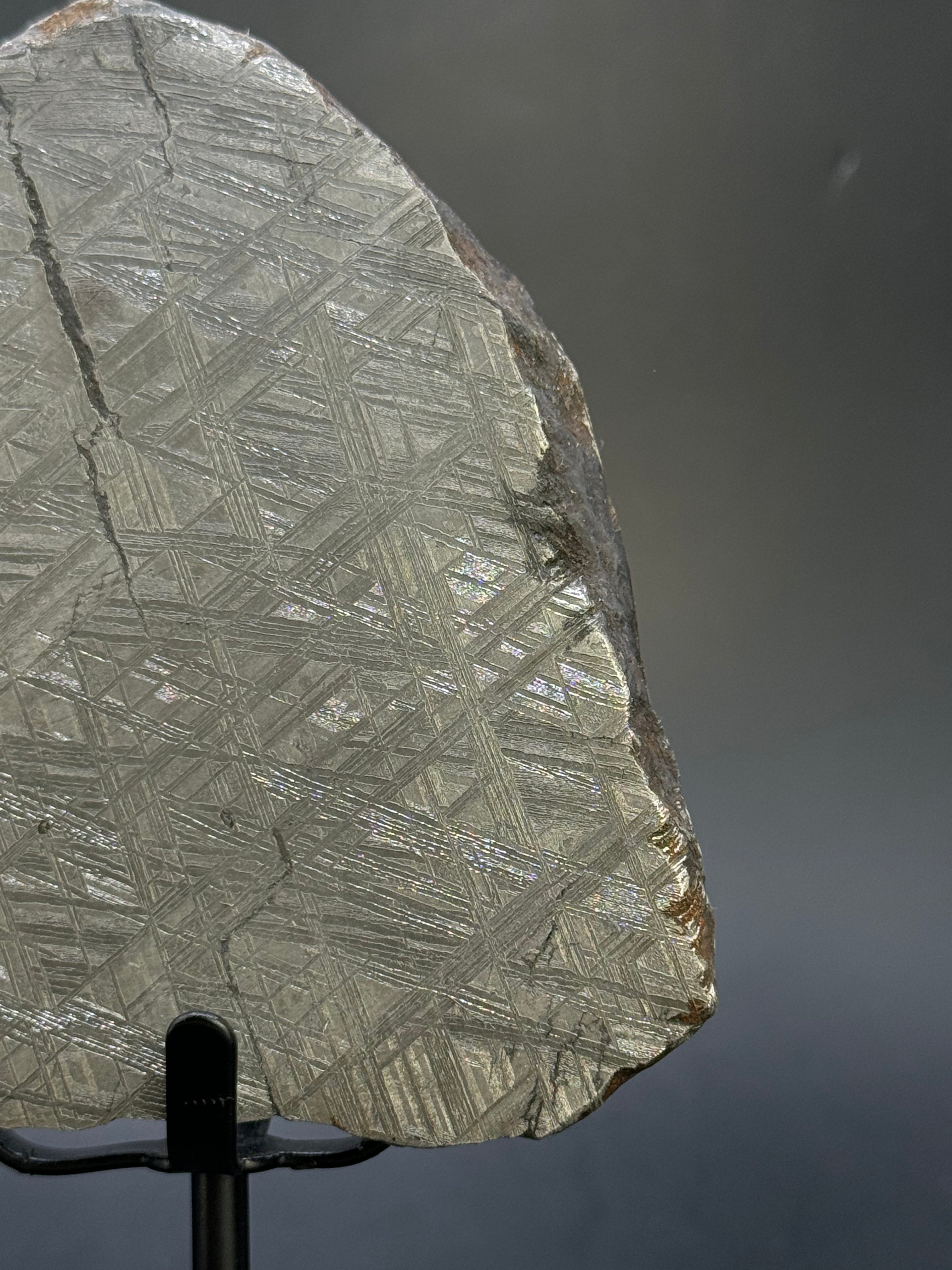 Muonionalusta meteorite, Sweden.  791 grams End-cut.