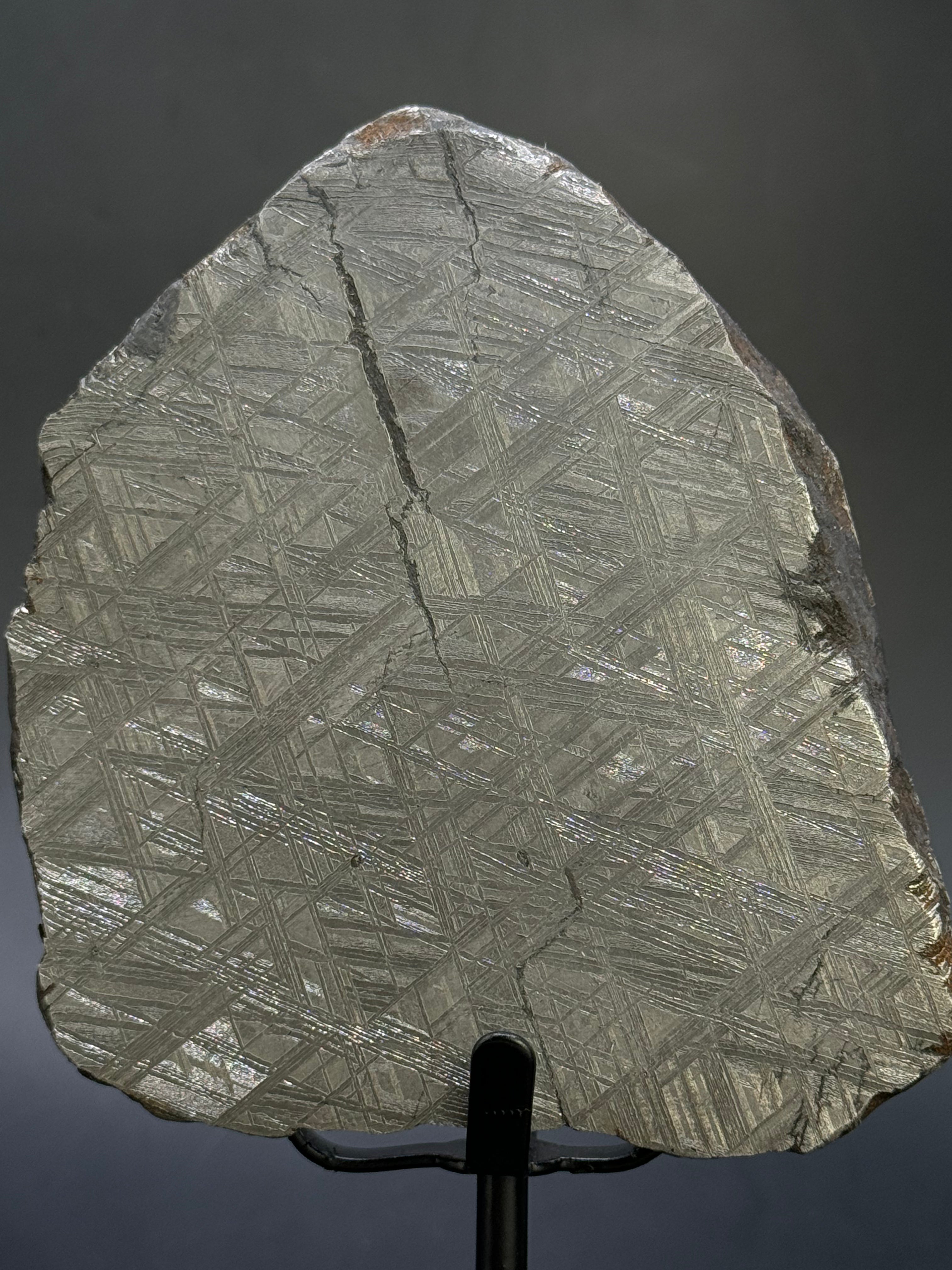 Muonionalusta meteorite, Sweden.  791 grams End-cut.