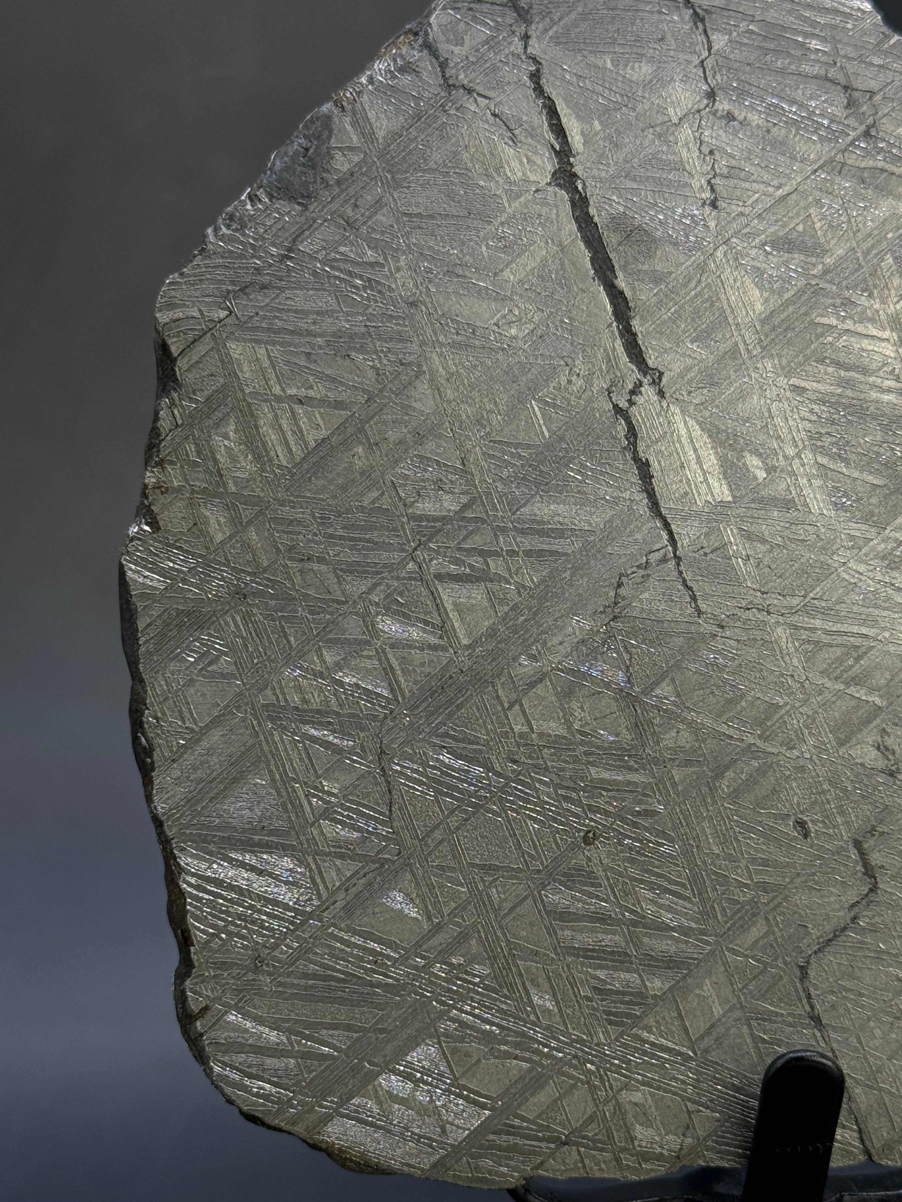 Muonionalusta meteorite, Sweden.  791 grams End-cut.