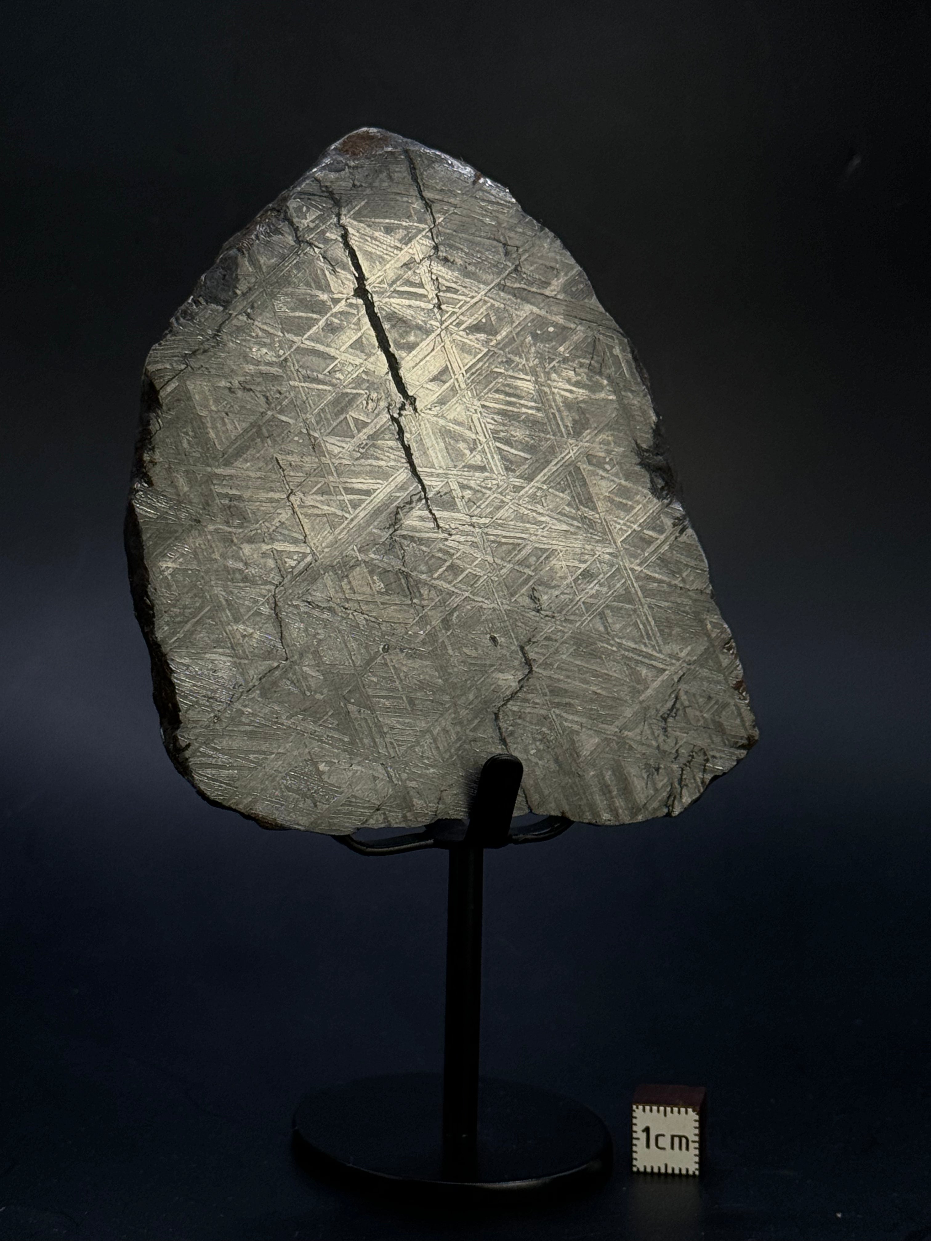 Muonionalusta meteorite, Sweden.  791 grams End-cut.