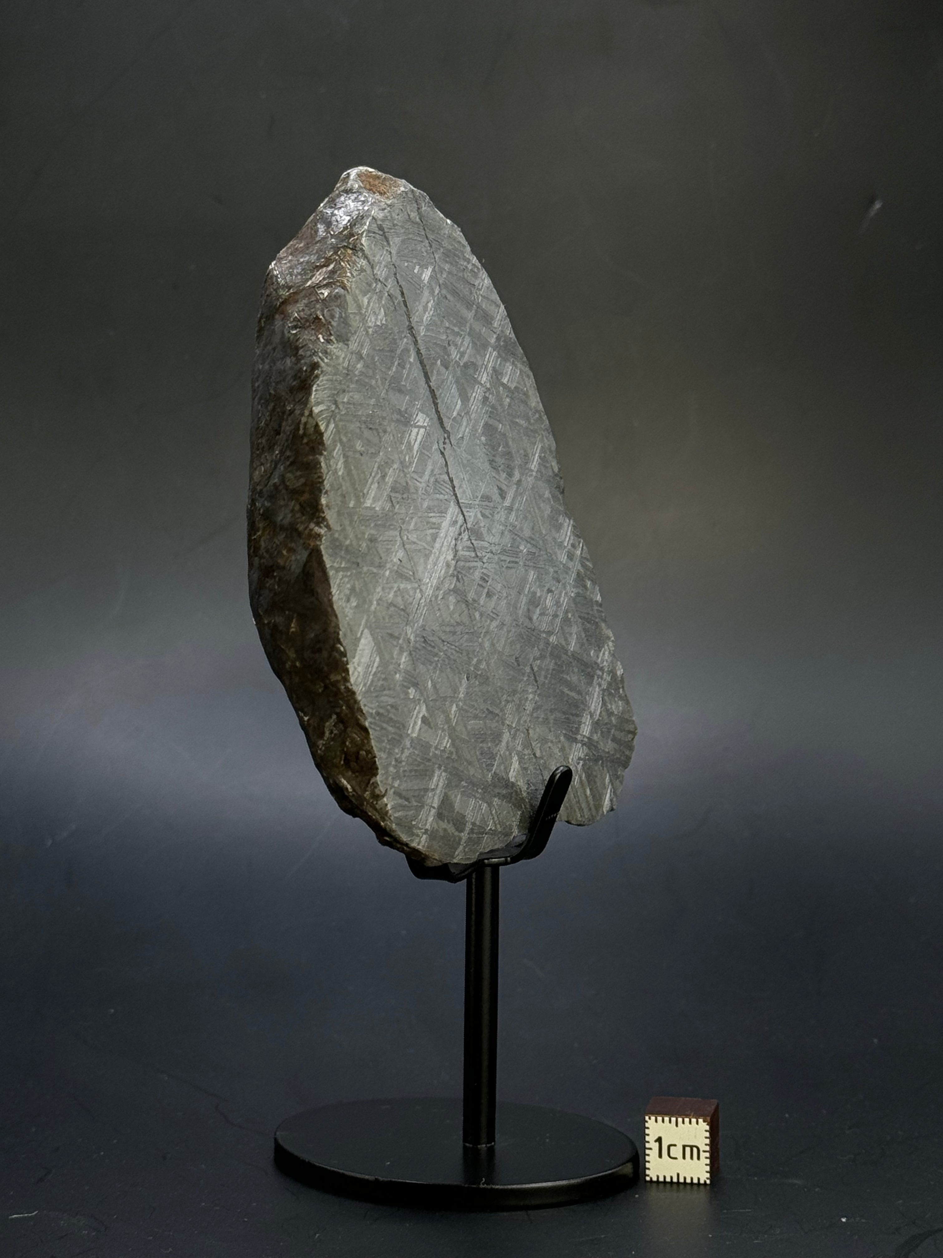 Muonionalusta meteorite, Sweden.  791 grams End-cut.