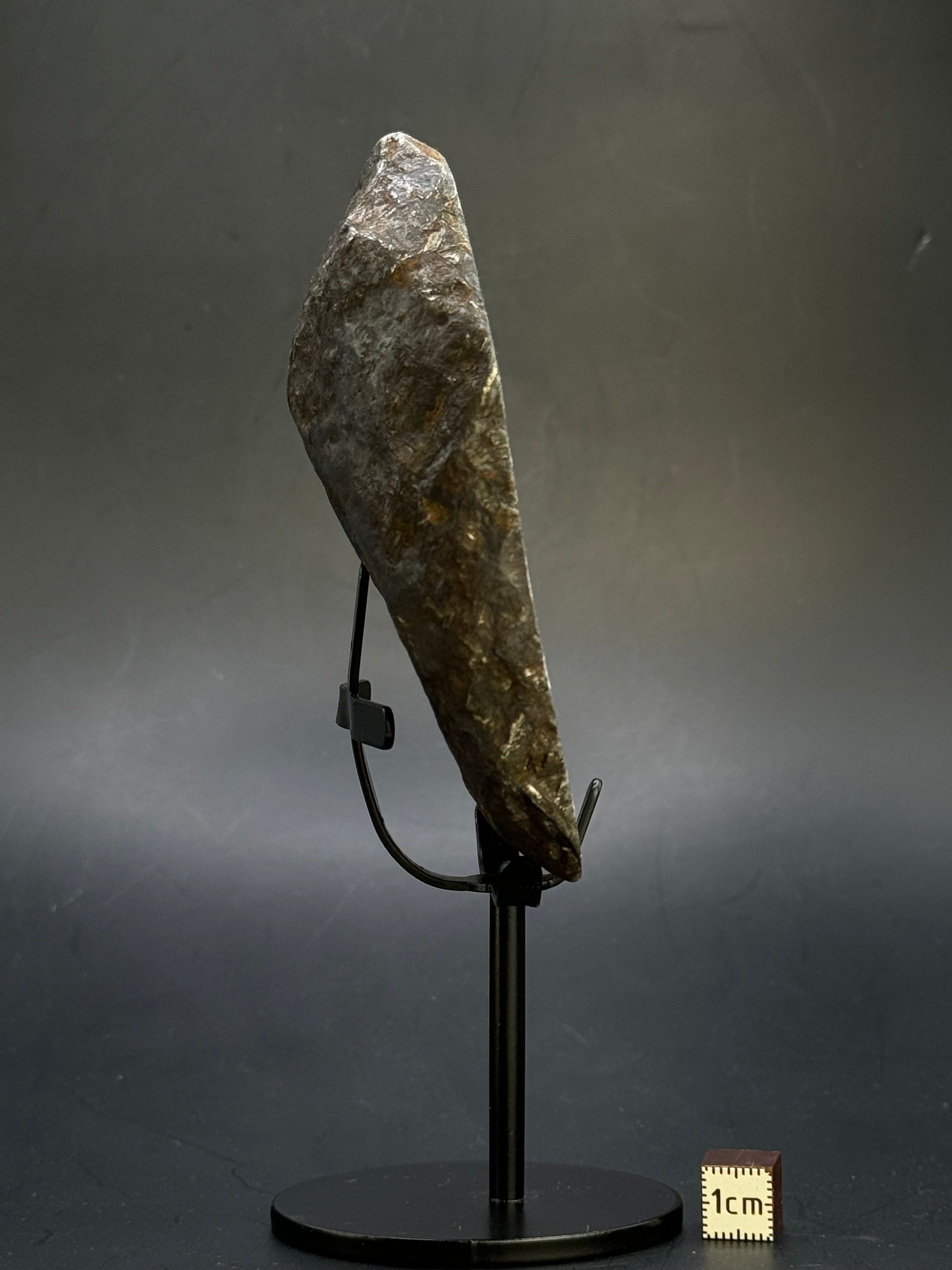 Muonionalusta meteorite, Sweden.  791 grams End-cut.