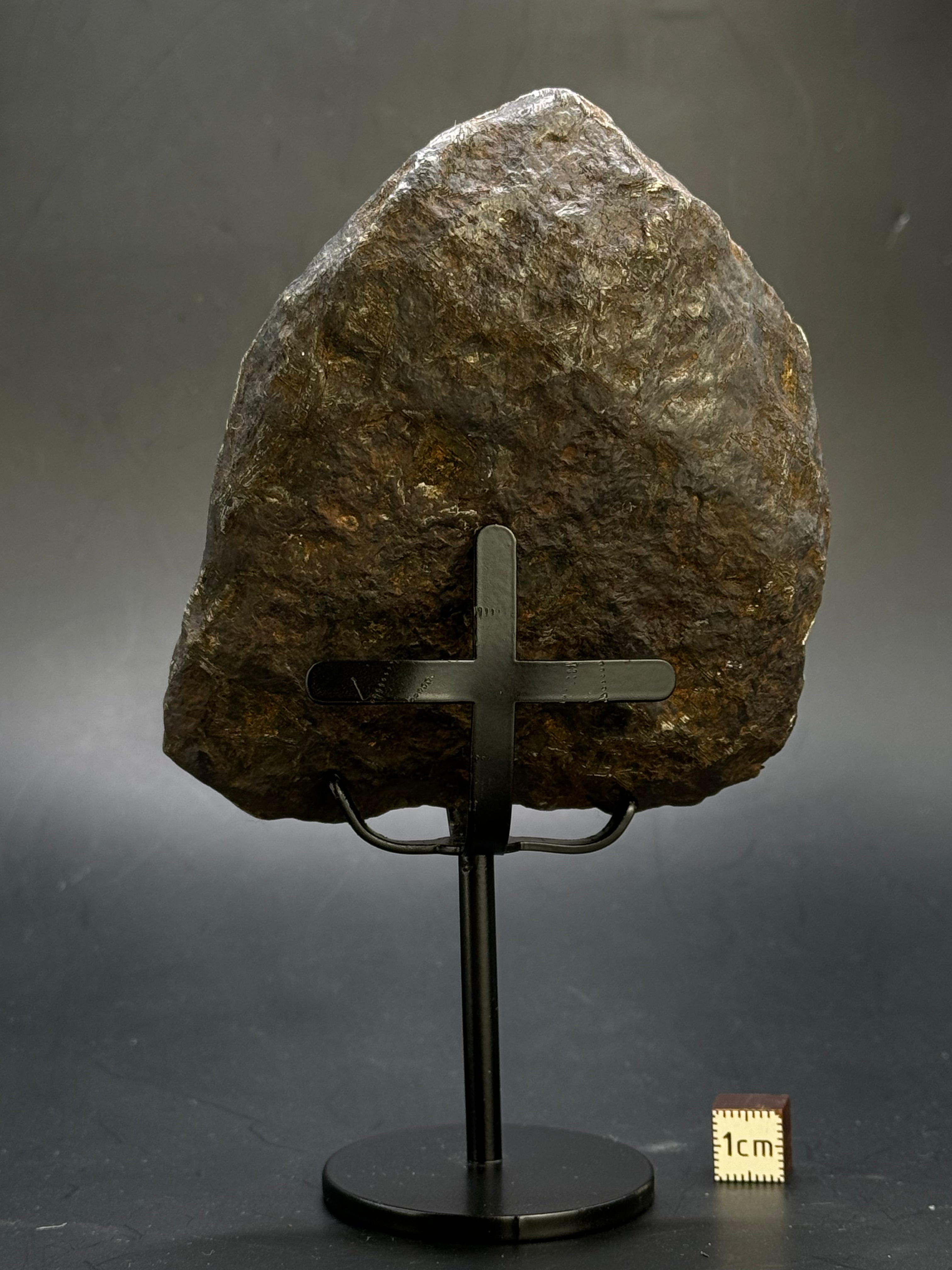 Muonionalusta meteorite, Sweden.  791 grams End-cut.