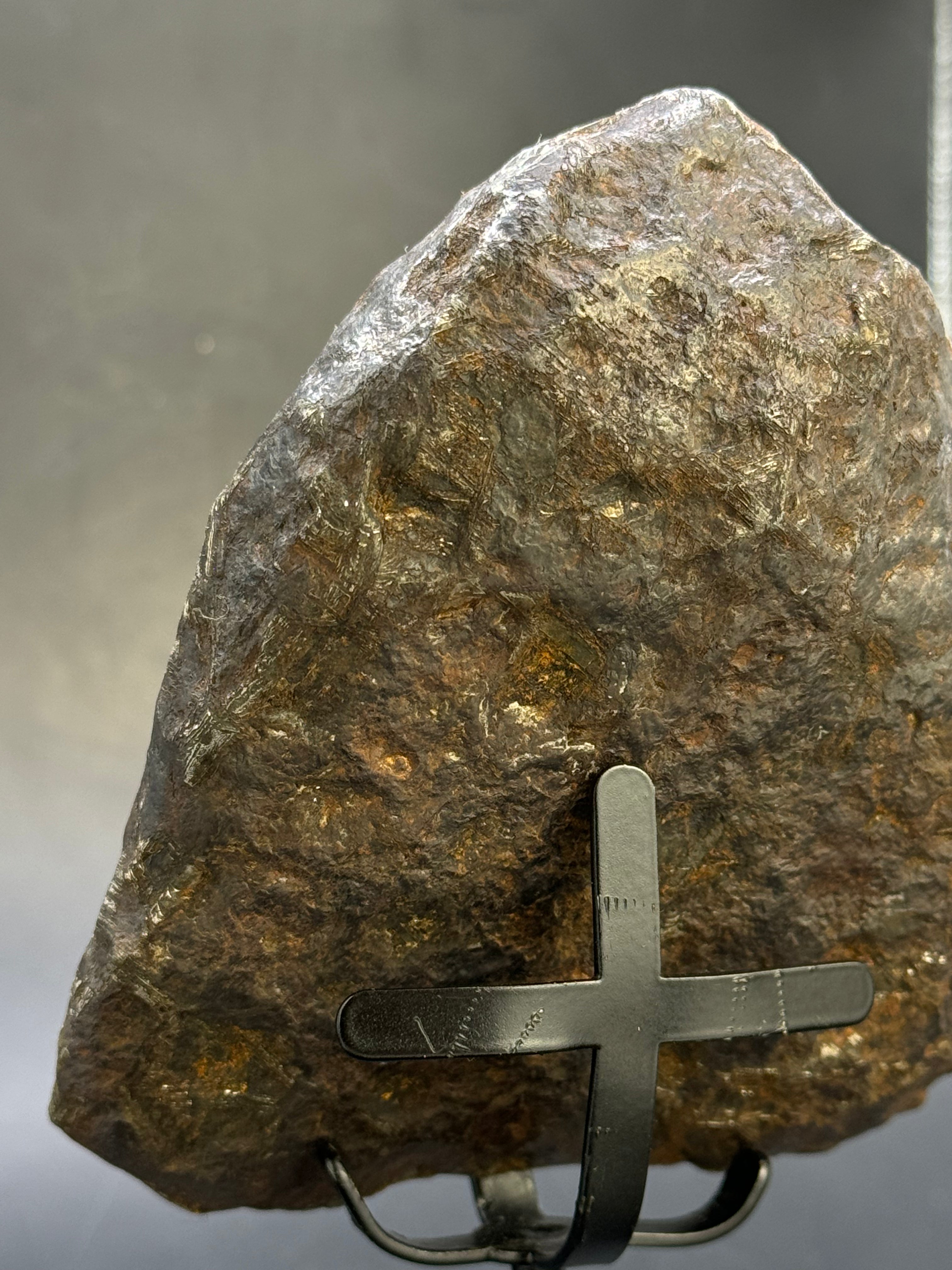Muonionalusta meteorite, Sweden.  791 grams End-cut.