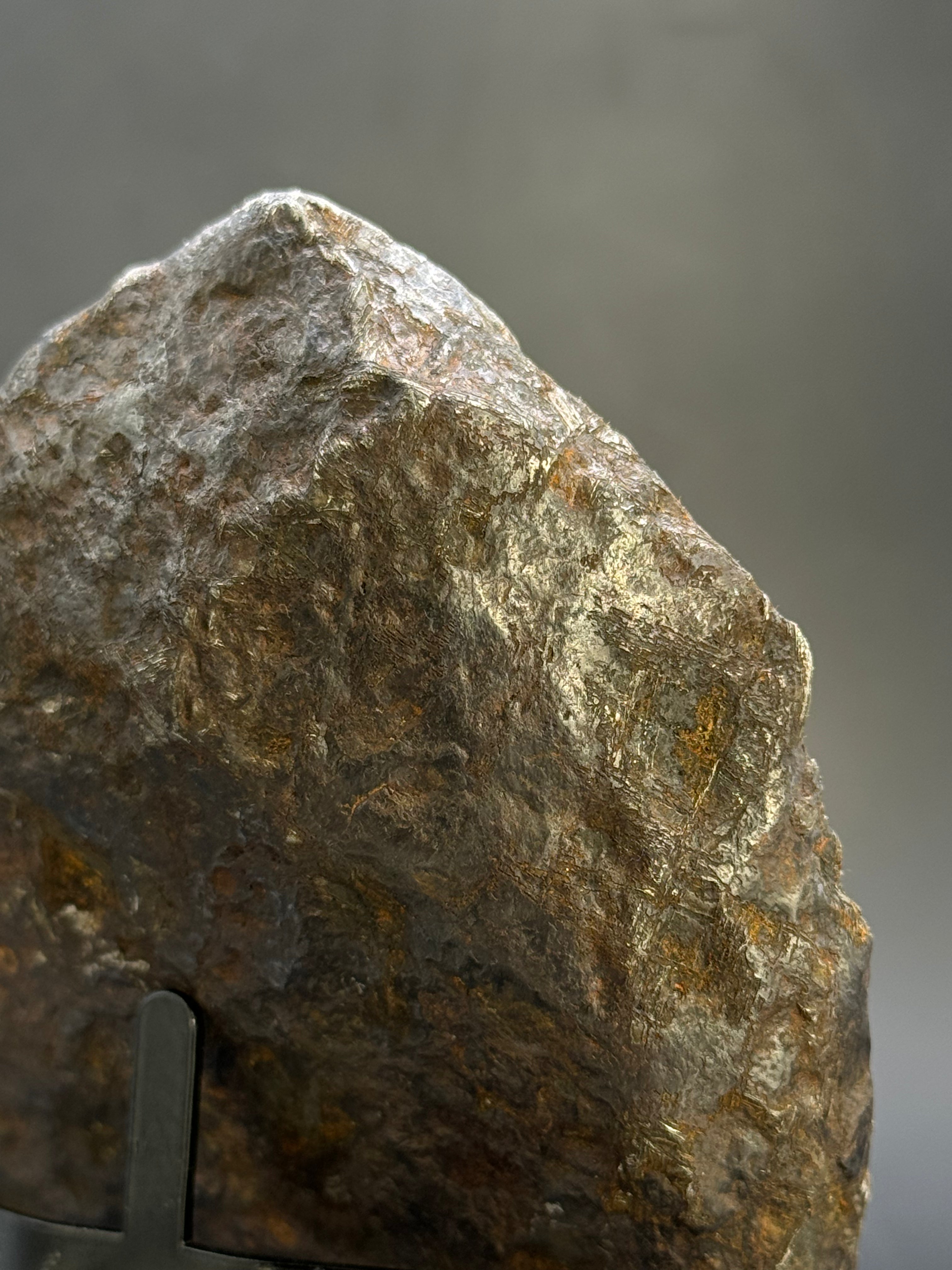 Muonionalusta meteorite, Sweden.  791 grams End-cut.