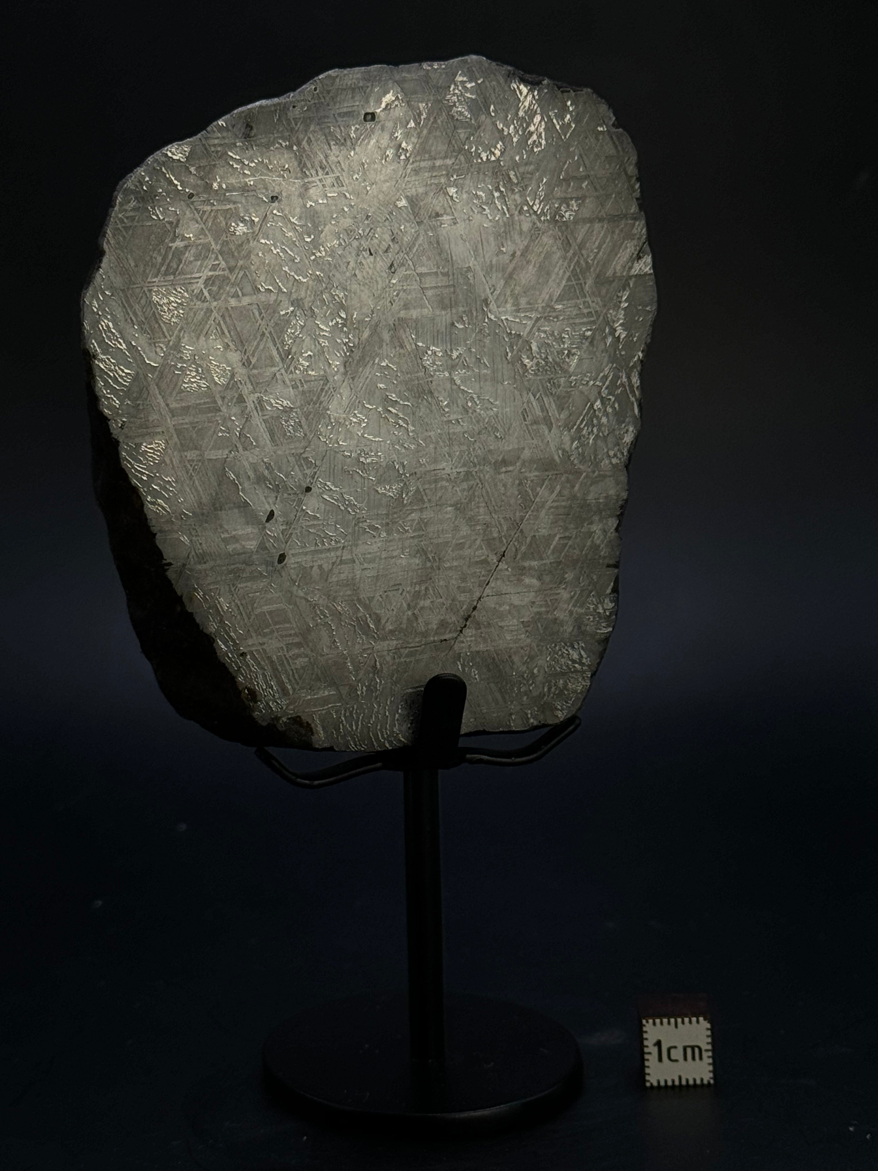 MUONIONALUSTA METEORITE, SWEDEN. 684 GRAMS END-CUT.