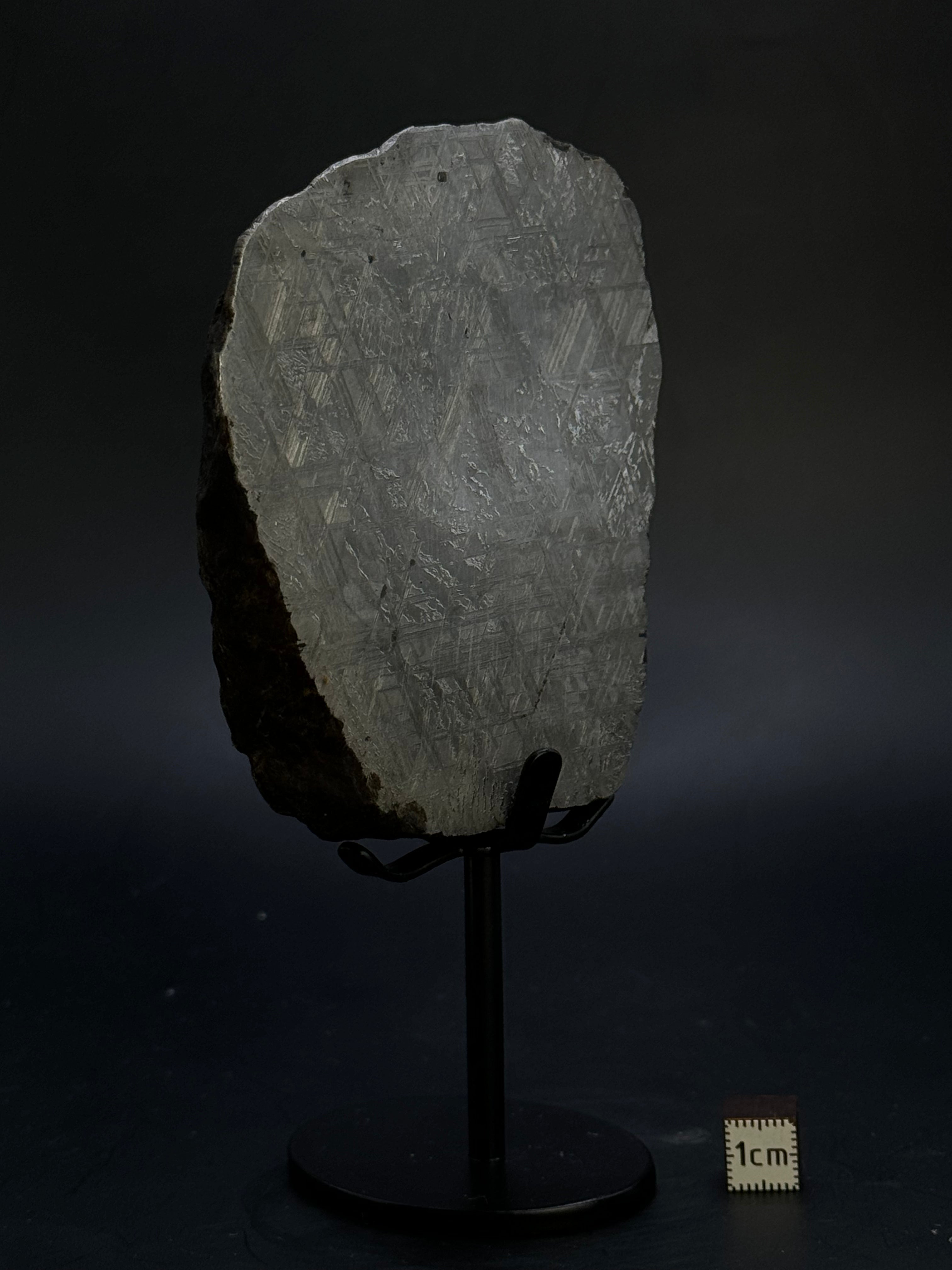 MUONIONALUSTA METEORITE, SWEDEN. 684 GRAMS END-CUT.