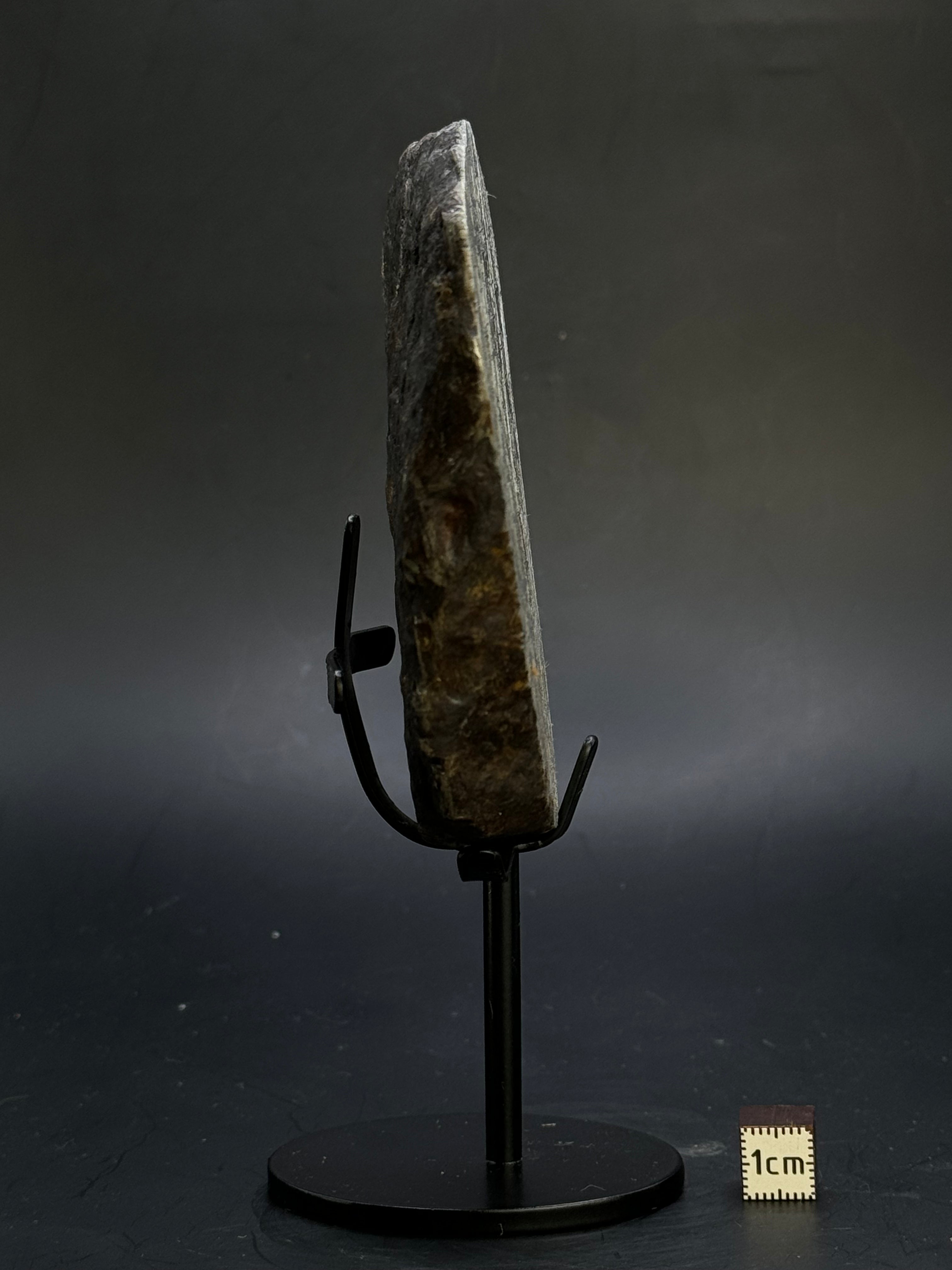 MUONIONALUSTA METEORITE, SWEDEN. 684 GRAMS END-CUT.