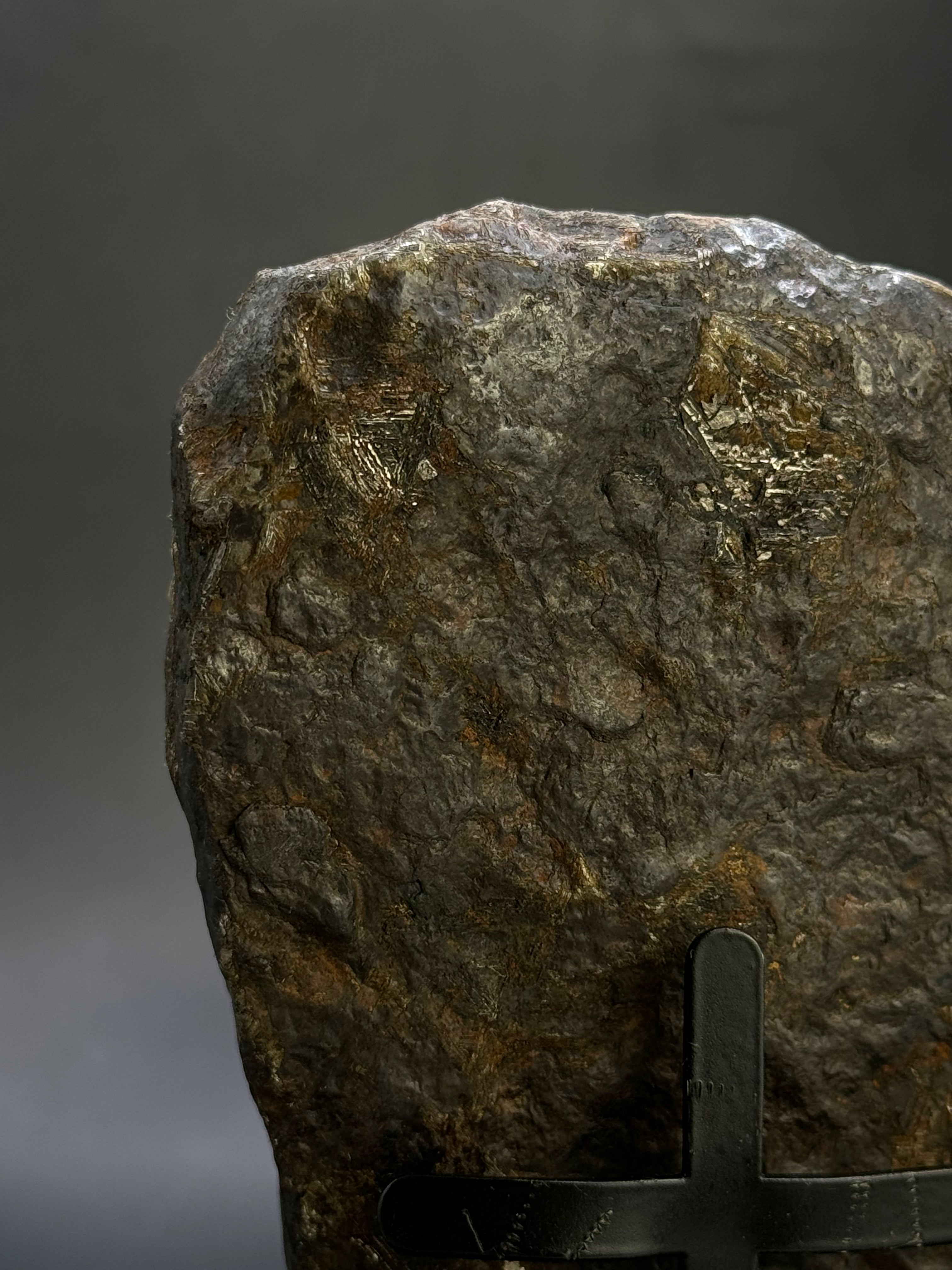 MUONIONALUSTA METEORITE, SWEDEN. 684 GRAMS END-CUT.