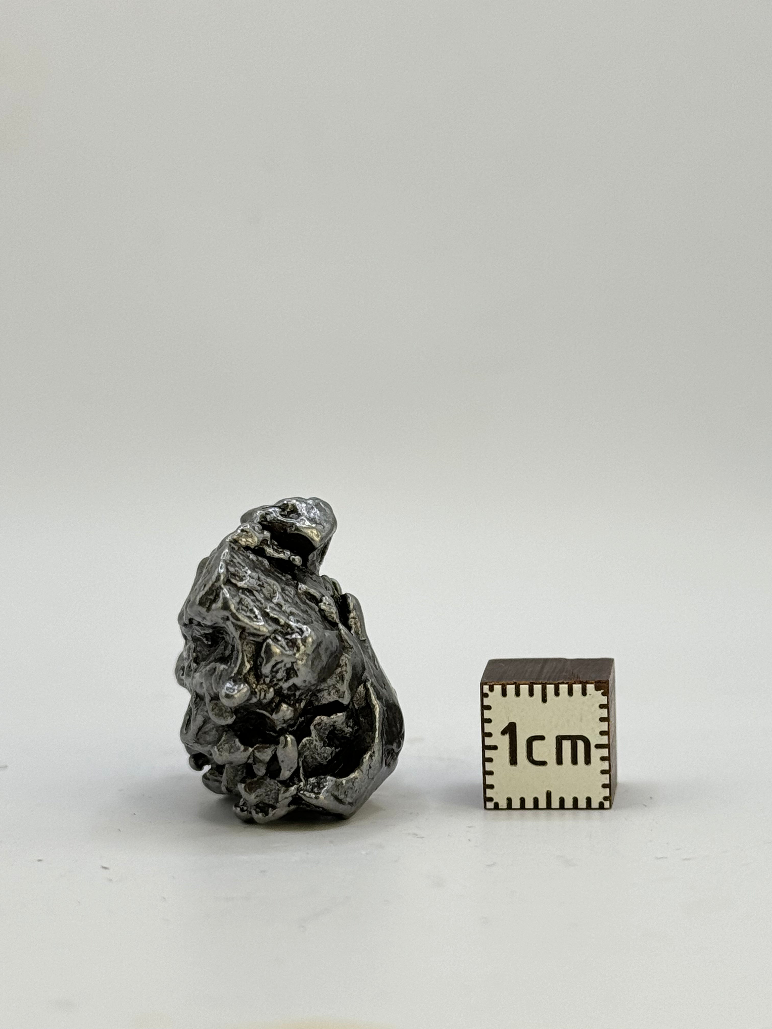 Campo del Cielo meteorite, South America. 29,51 grams.