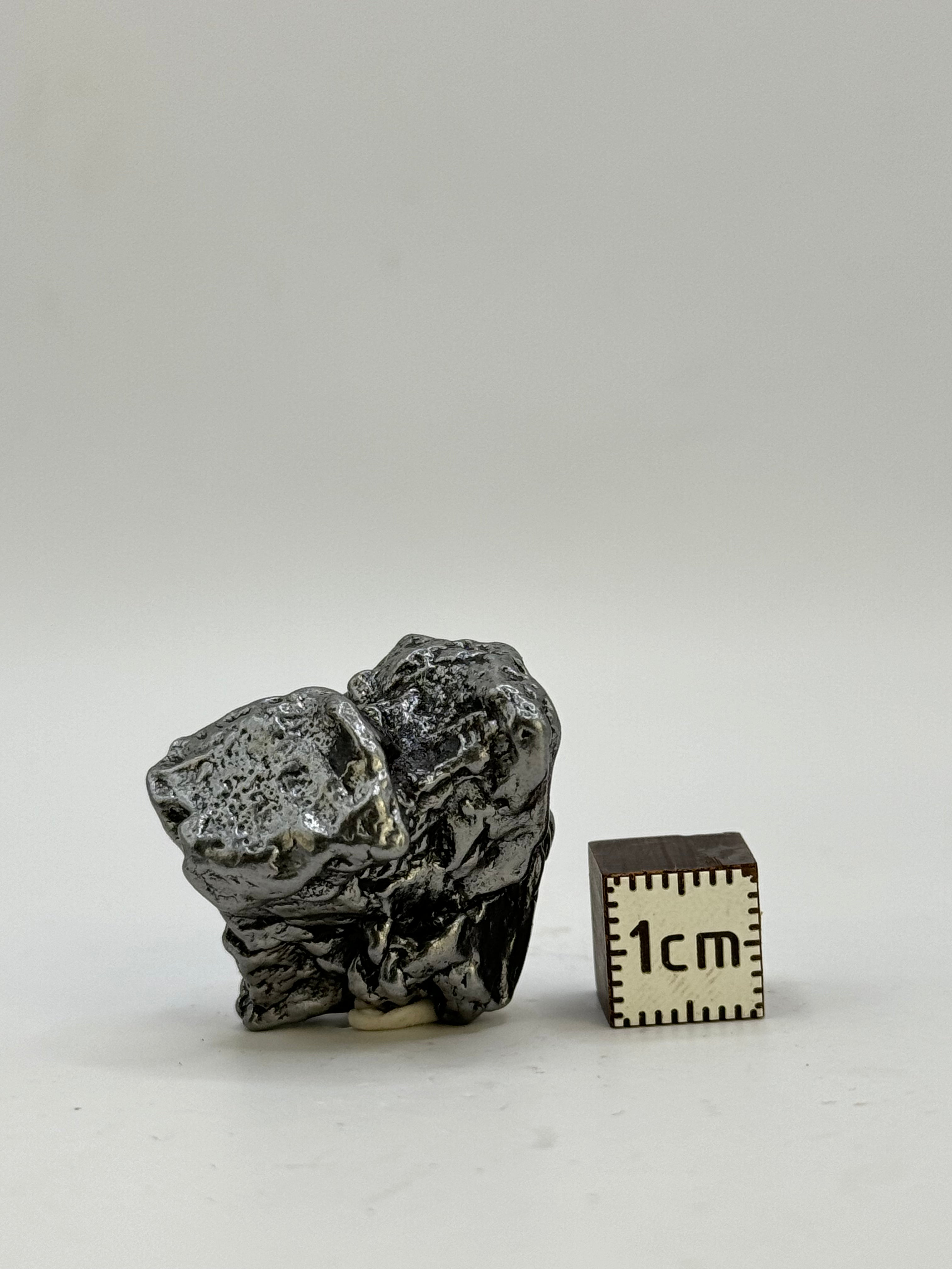 CAMPO DEL CIELO METEORITE, SOUTH AMERICA. 25,88 GRAMS.