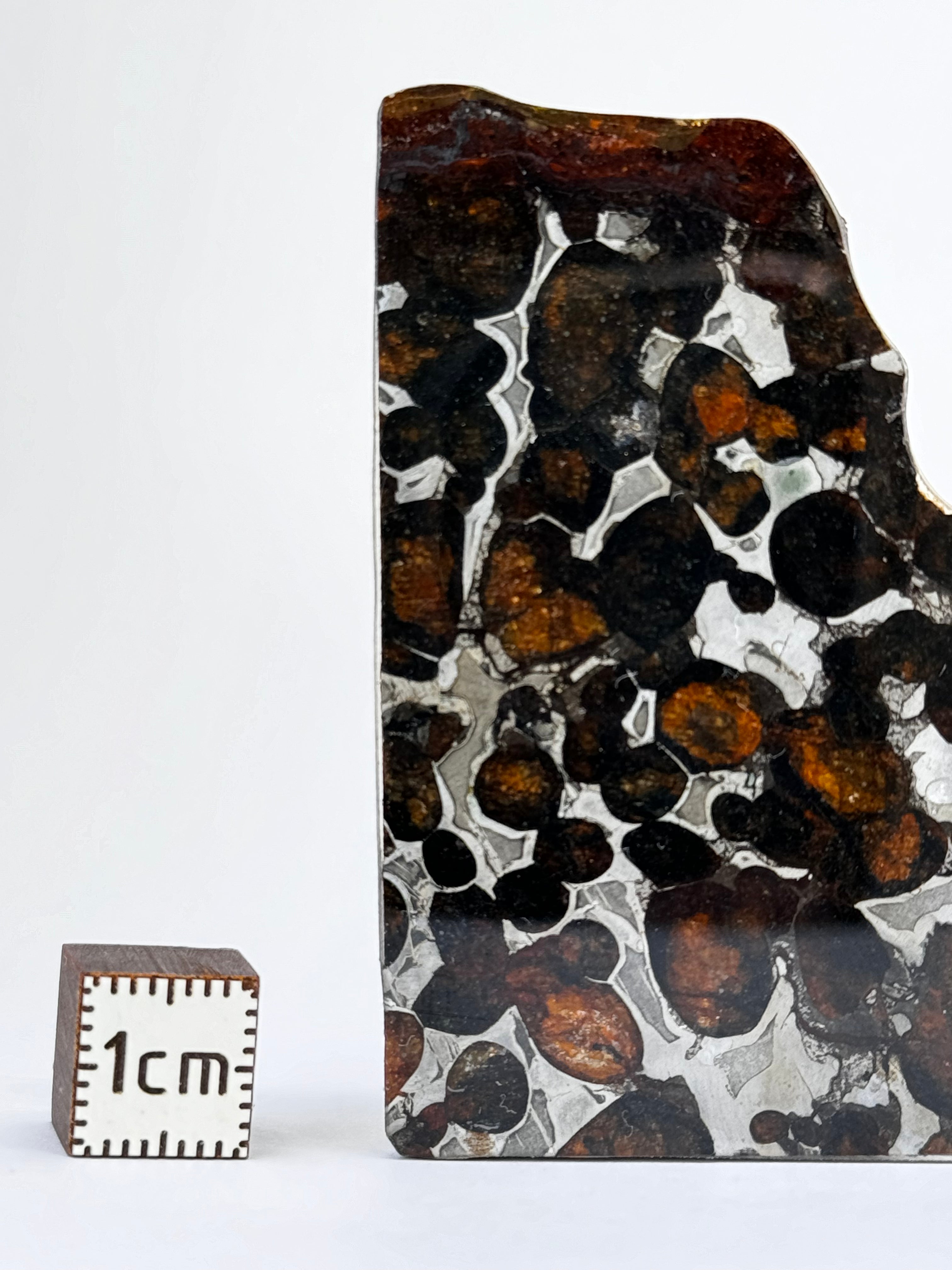 Sericho Meteorite, Kenya. 18,91 grams.