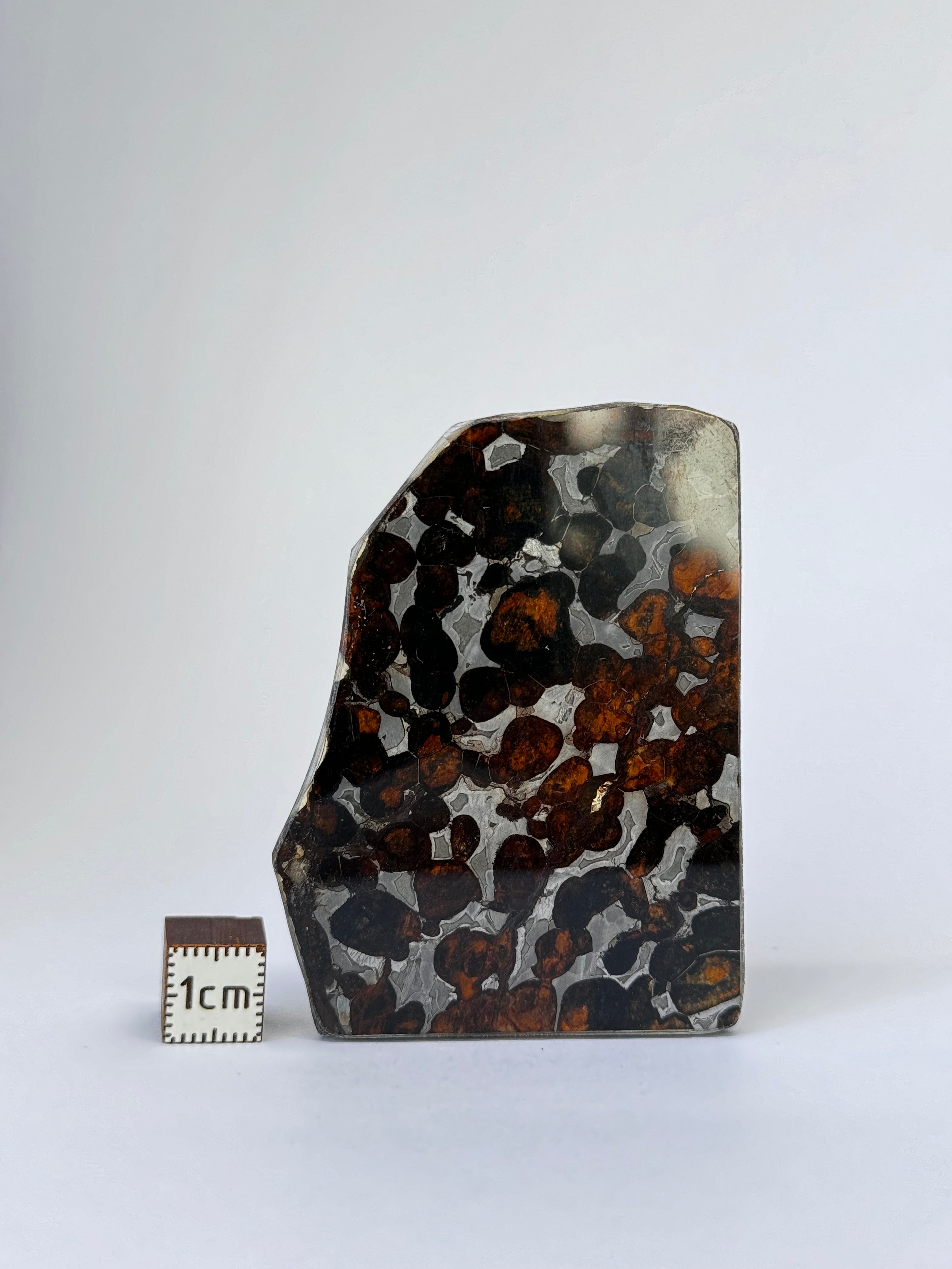 Sericho Meteorite, Kenya. 17,58 grams.