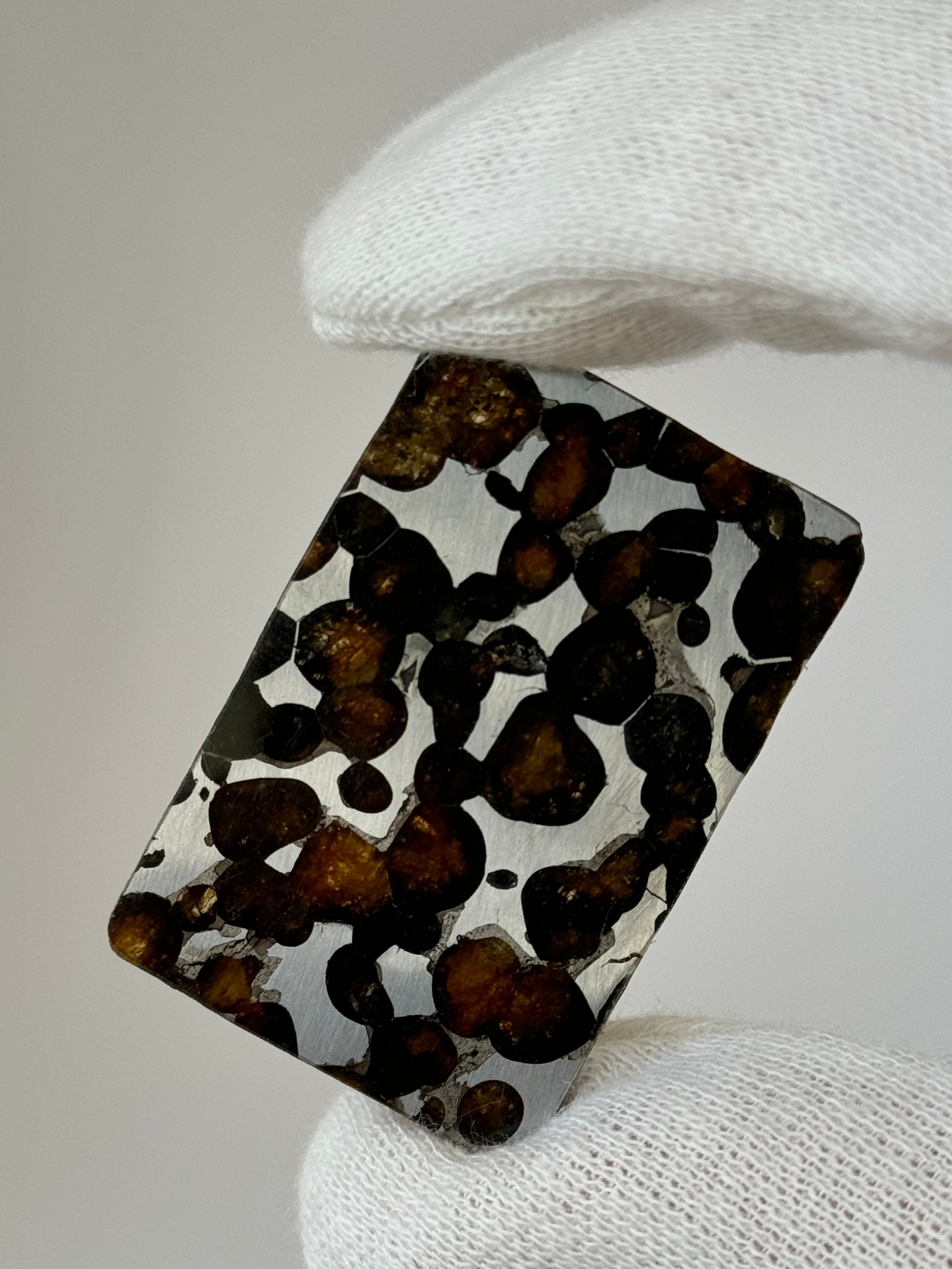 Sericho Meteorite, Kenya. 9,02 grams slice.