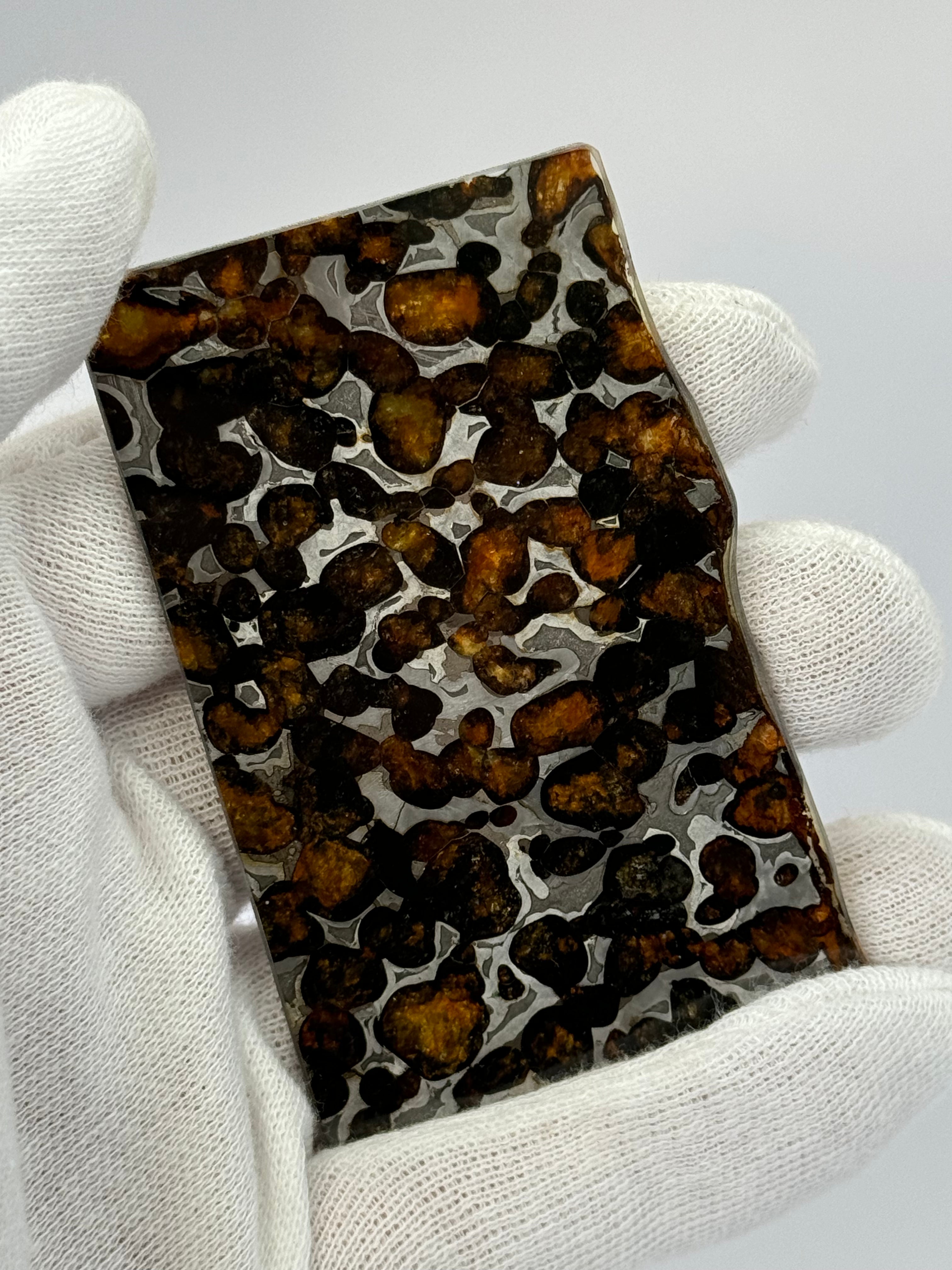 Sericho Meteorite, Kenya. 35,50 grams.