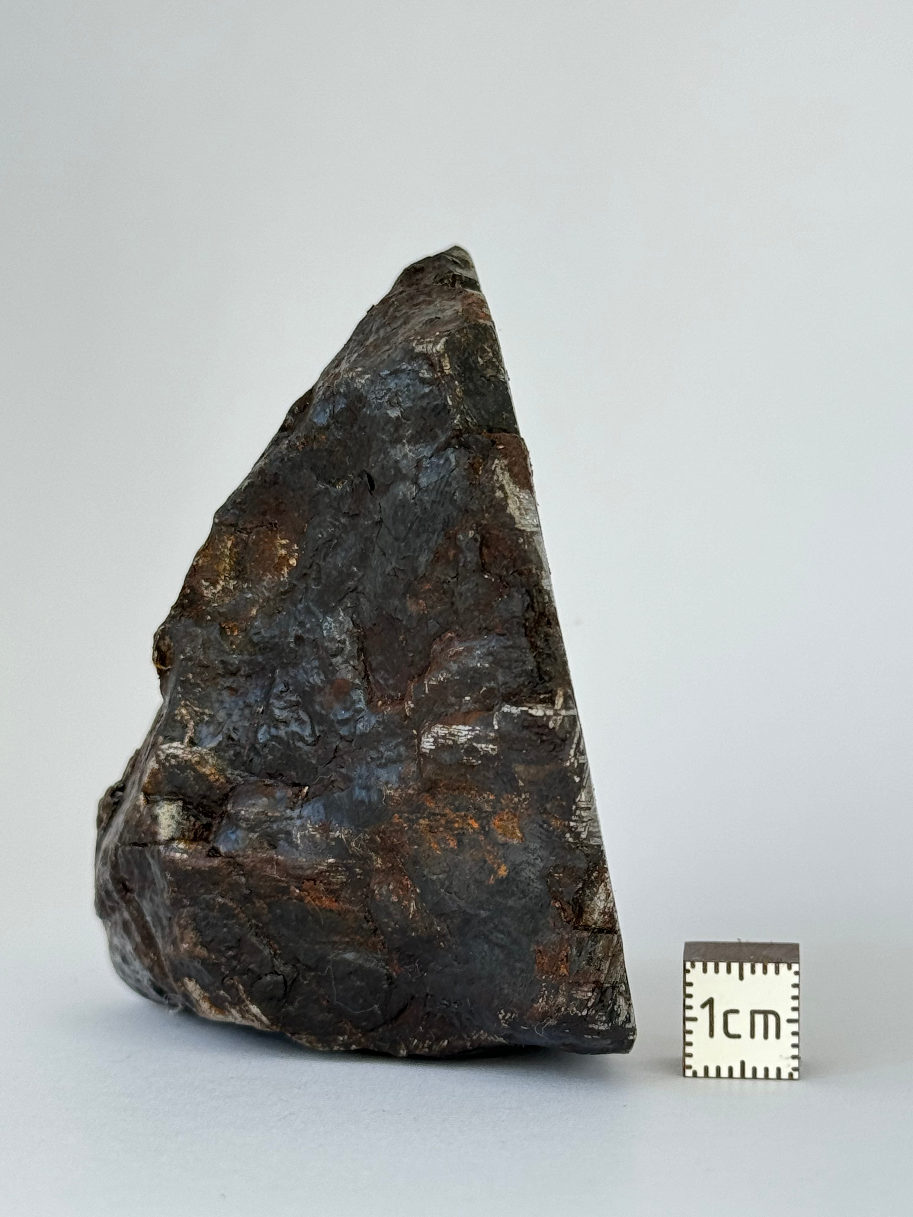 Muonionalusta Meteorite, Sweden. 730 grams end-cut.