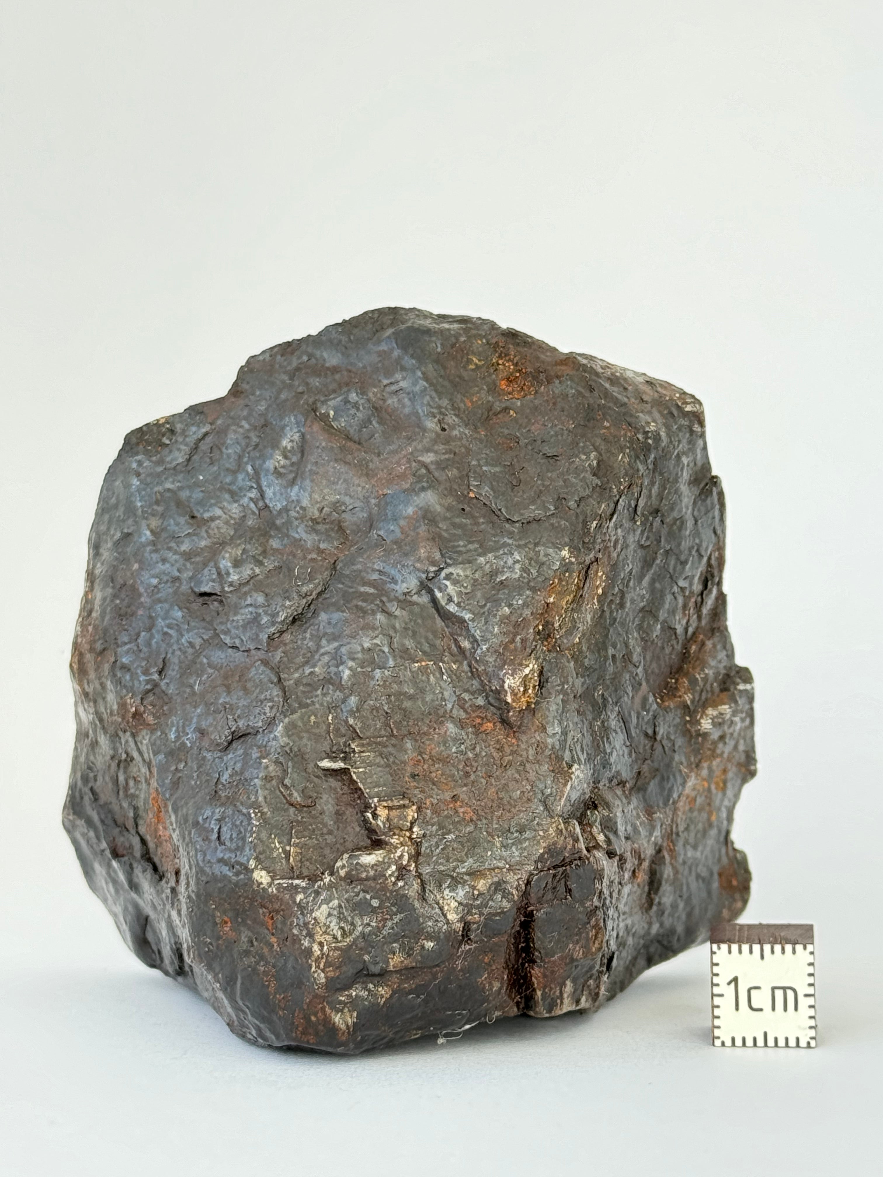 Muonionalusta Meteorite, Sweden. 730 grams end-cut.