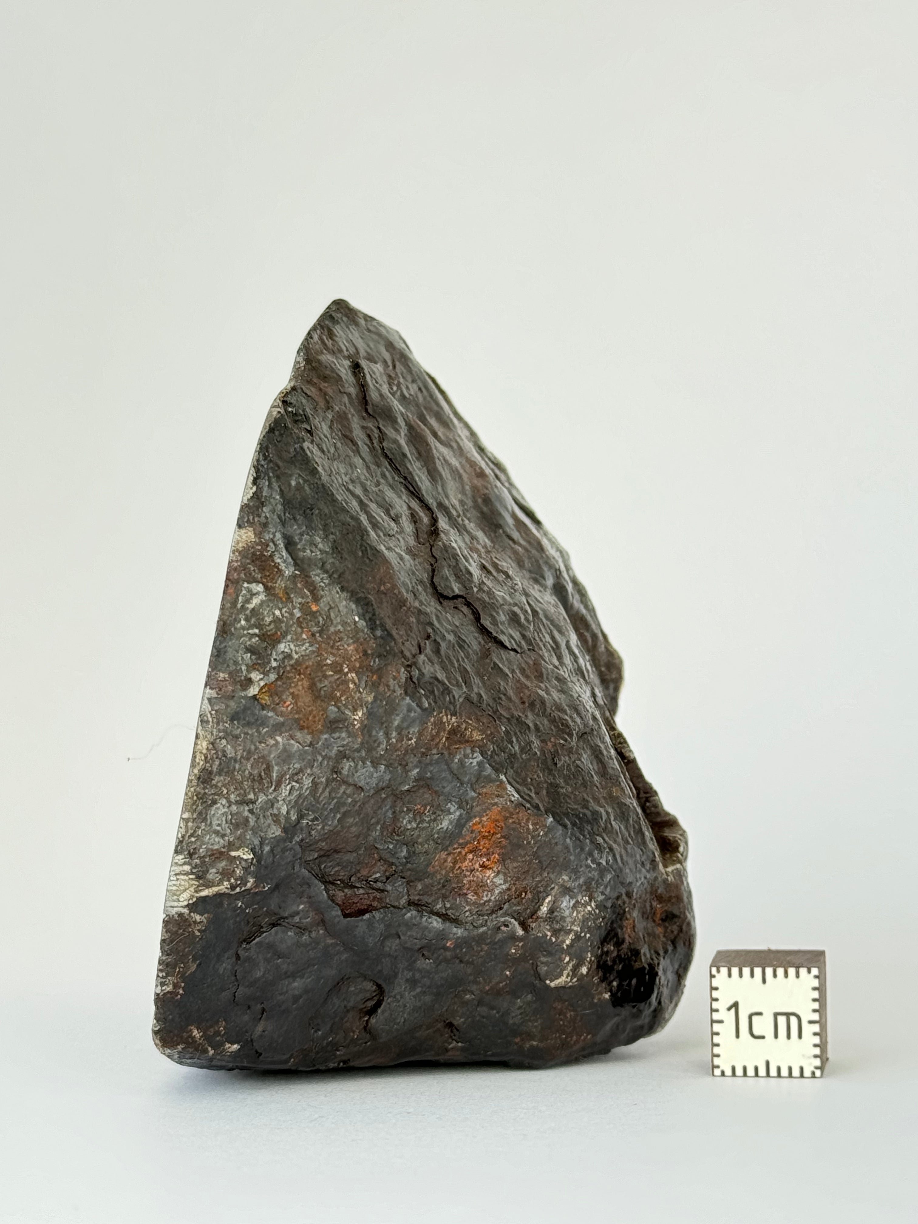 Muonionalusta Meteorite, Sweden. 730 grams end-cut.