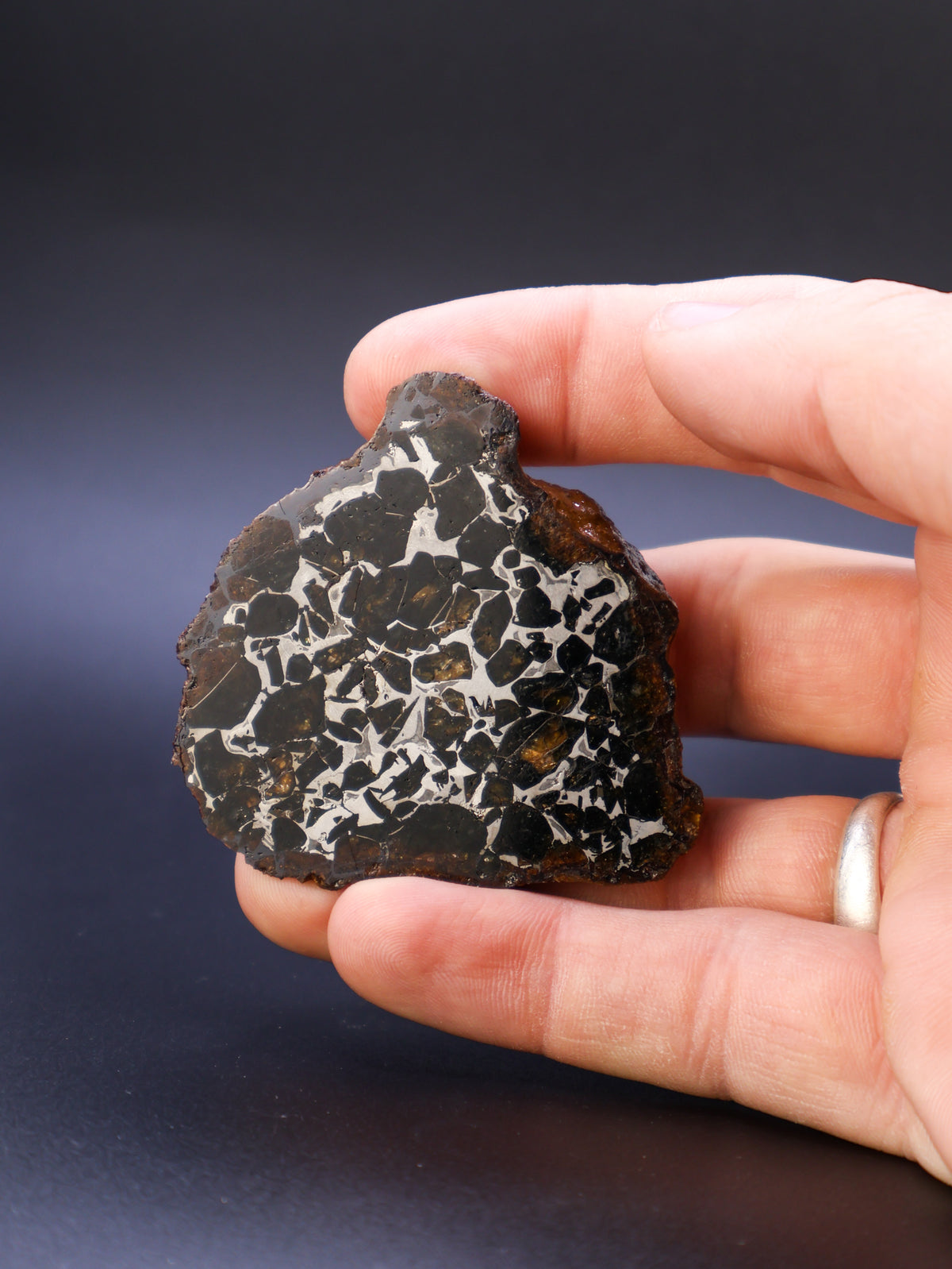 SEYMCHAN METEORITE, MAGADAN REGION, RUSSIA. 96 GRAMS END-CUT.
