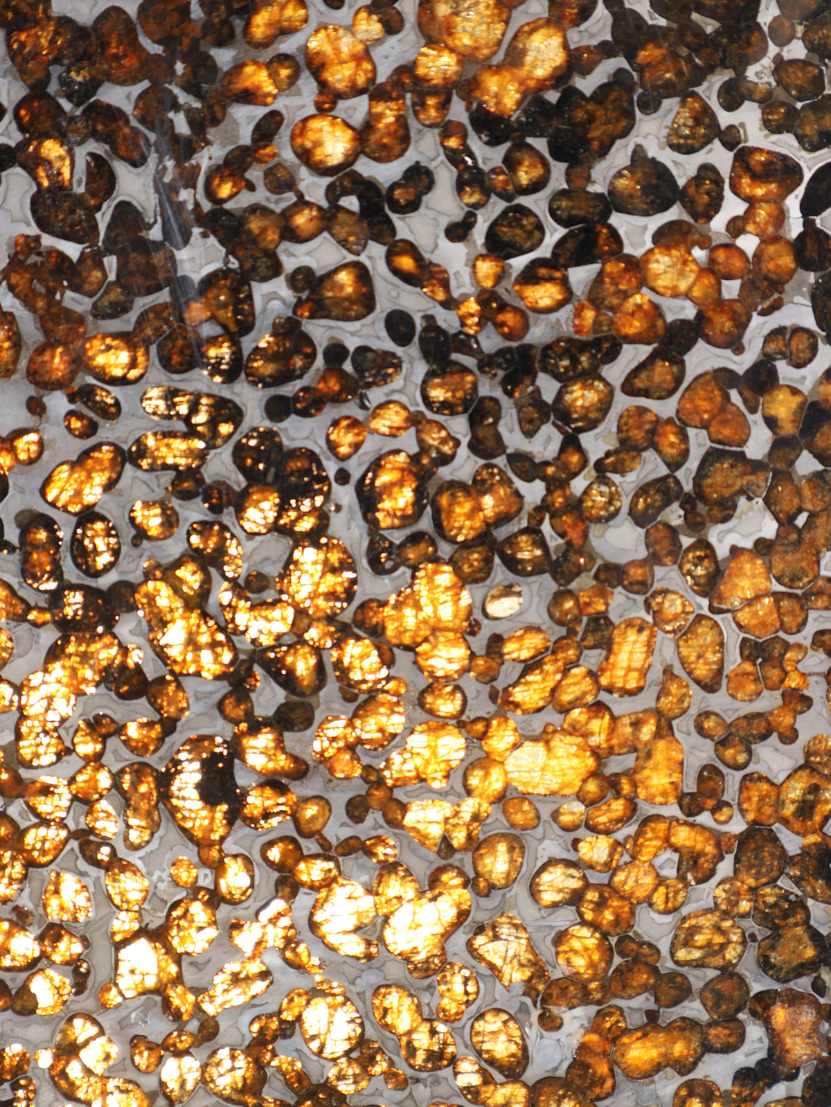 Sericho Meteorite slice from Kenya, 550 g
