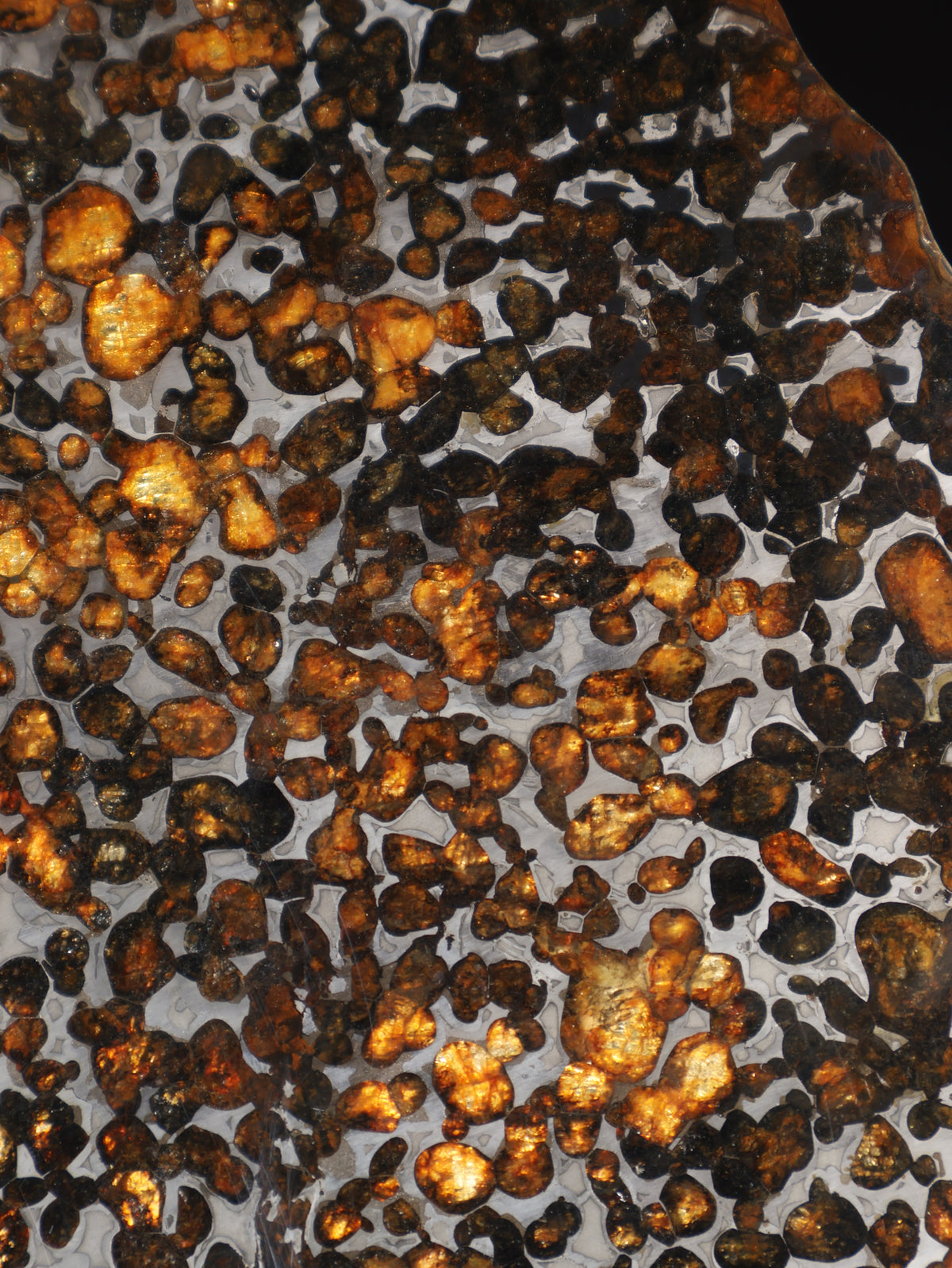 Sericho Meteorite slice from Kenya, 550 g