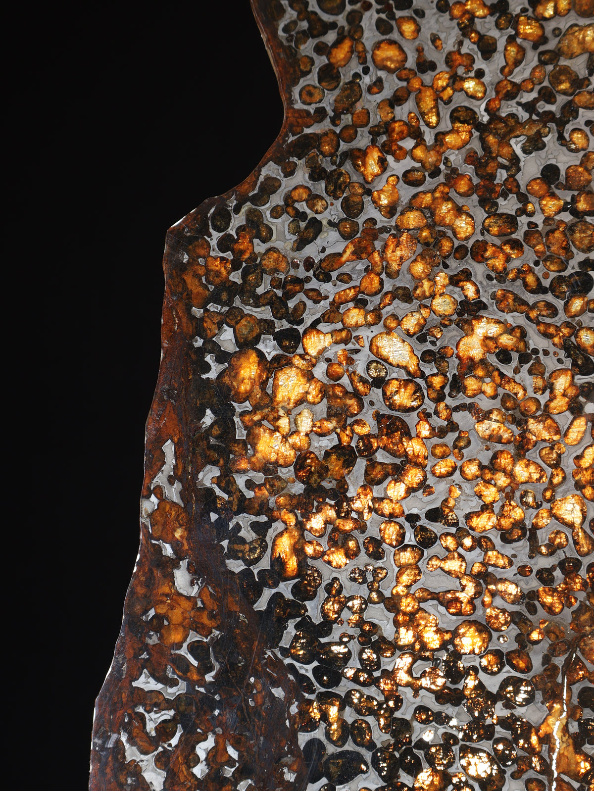 Sericho Meteorite slice from Kenya, 550 g