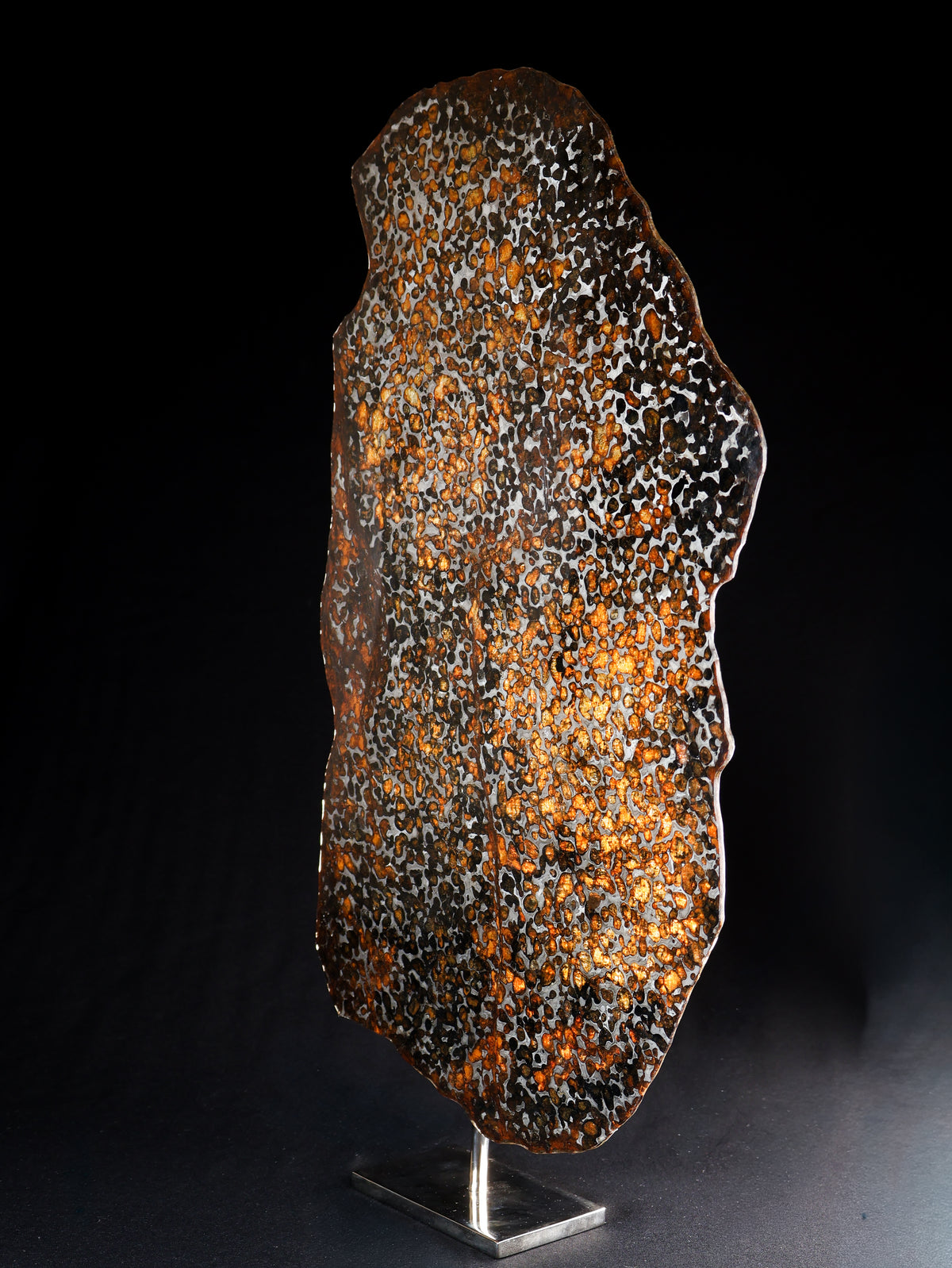 Sericho Meteorite slice from Kenya, 550 g