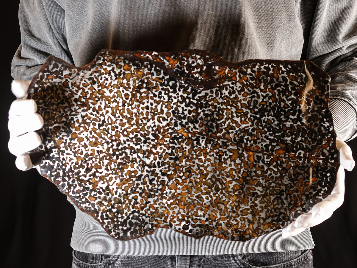 Sericho Meteorite slice from Kenya, 550 g