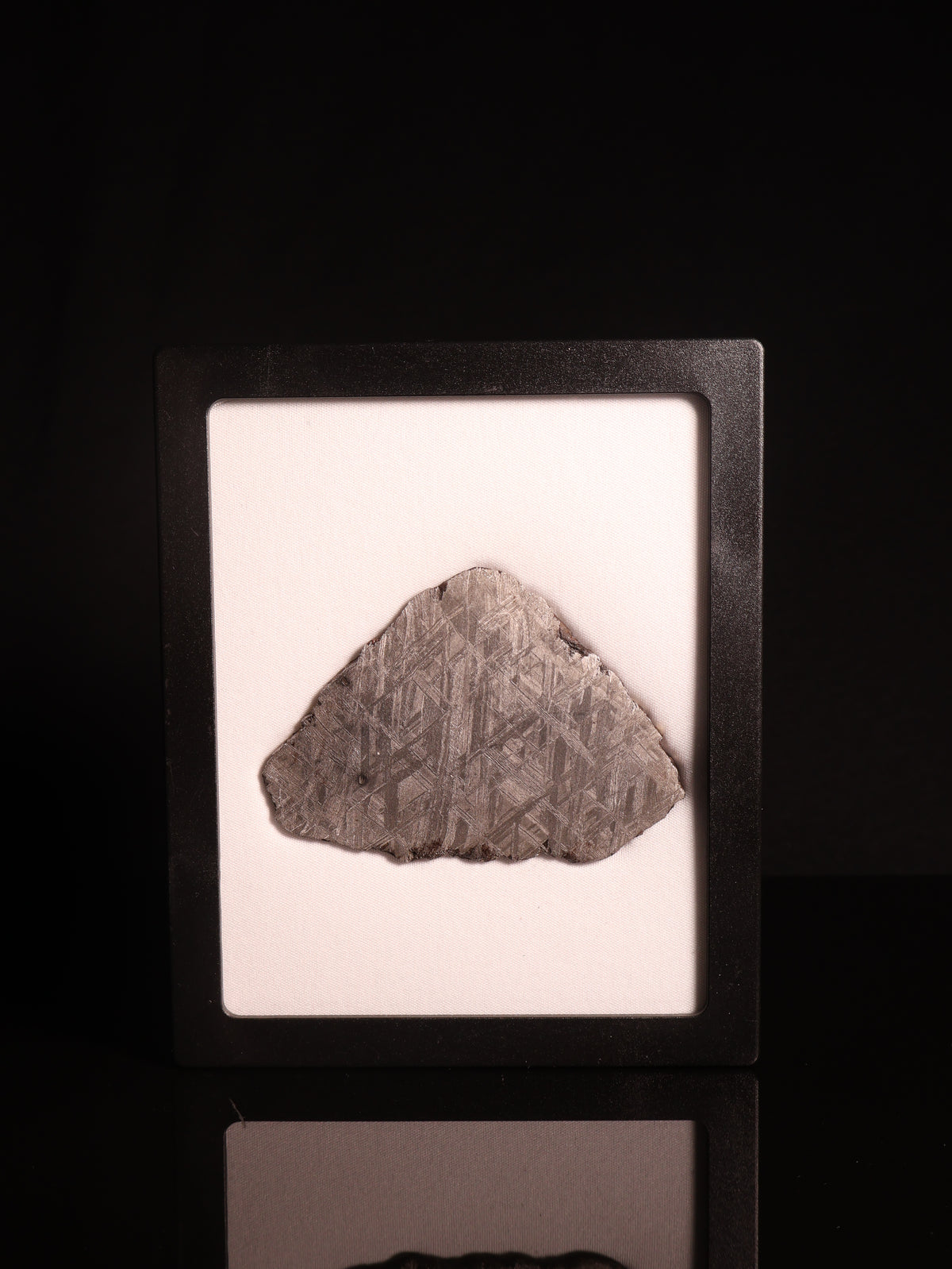 Muonionalusta meteorite, Sweden. 82,43 grams.